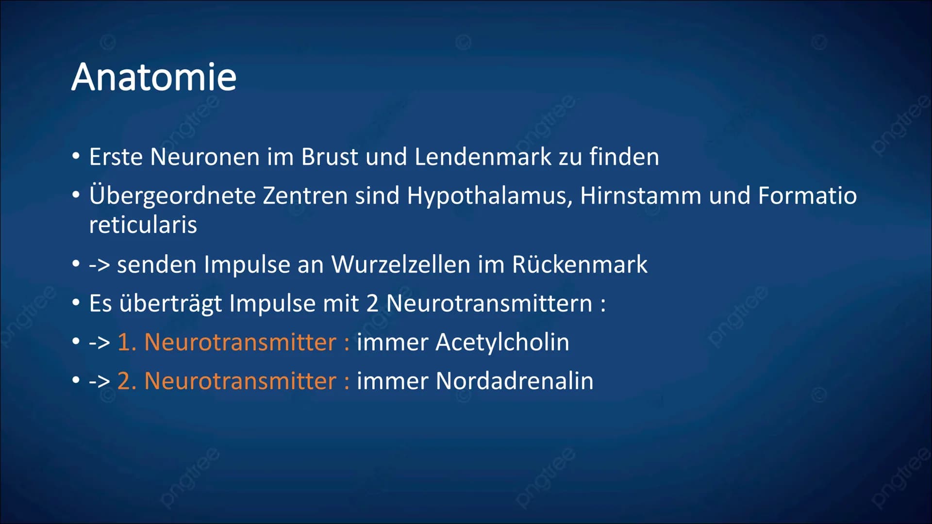 <h2>Definition des vegetativen Nervensystems + Beispiel</h2>
<p>Das vegetative Nervensystem regelt die Abläufe im Körper, die man nicht mit