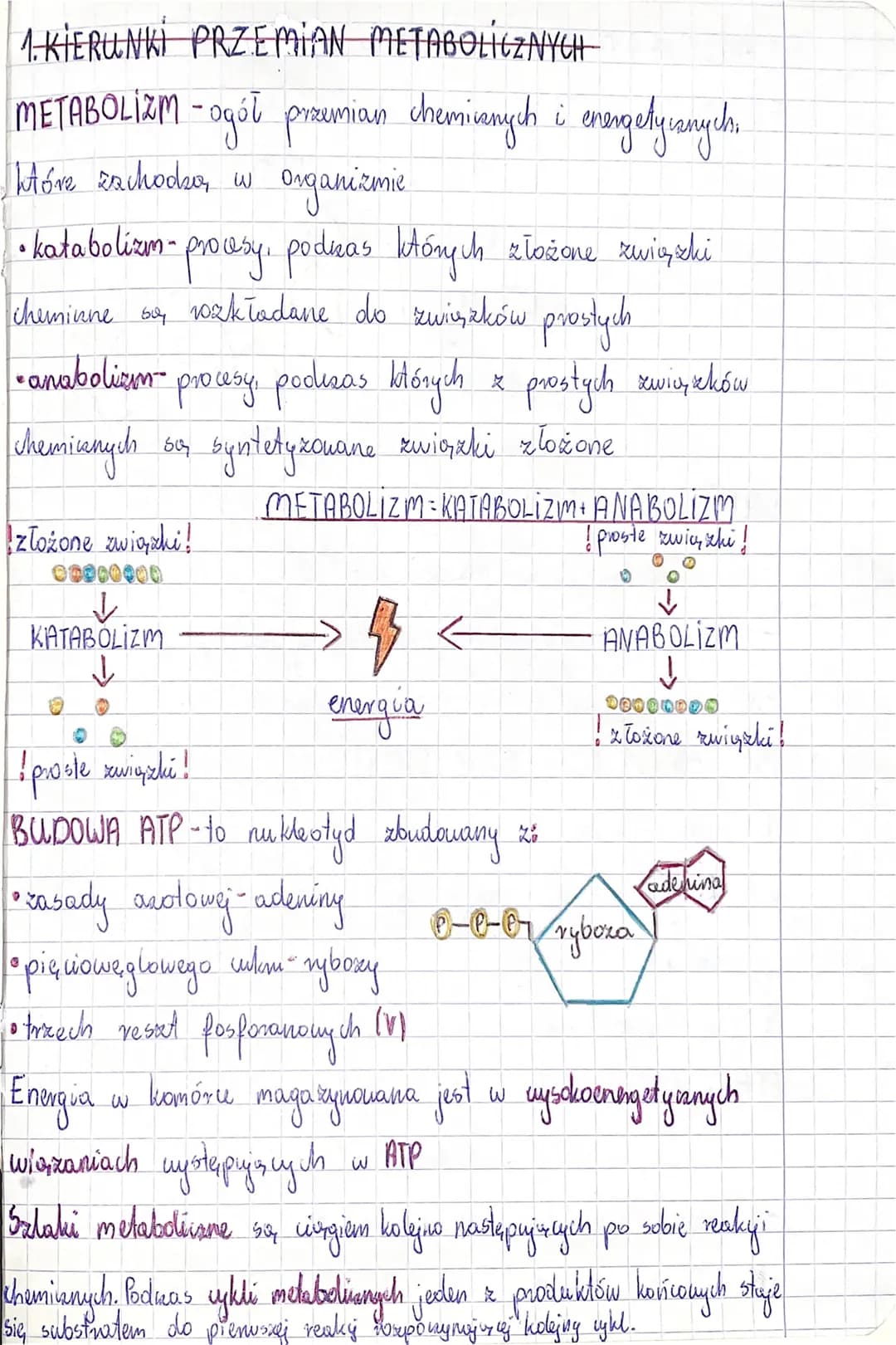 # 1. KIERUNKI PRZEMIAN METABOLICZNYCH
METABOLIZM - ogół przemian chemicznych i energetycznych.
które zachodzą, w organizmie
* katabolizm