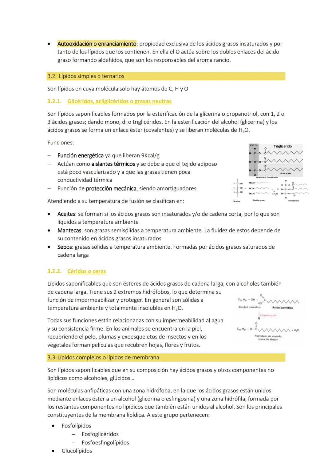 # Tema 3: LOS LÍPIDOS
1. CARACTERÍSTICAS GENERALES
Son biomoléculas orgánicas con funciones más amplias que las de los glúcidos. Están for