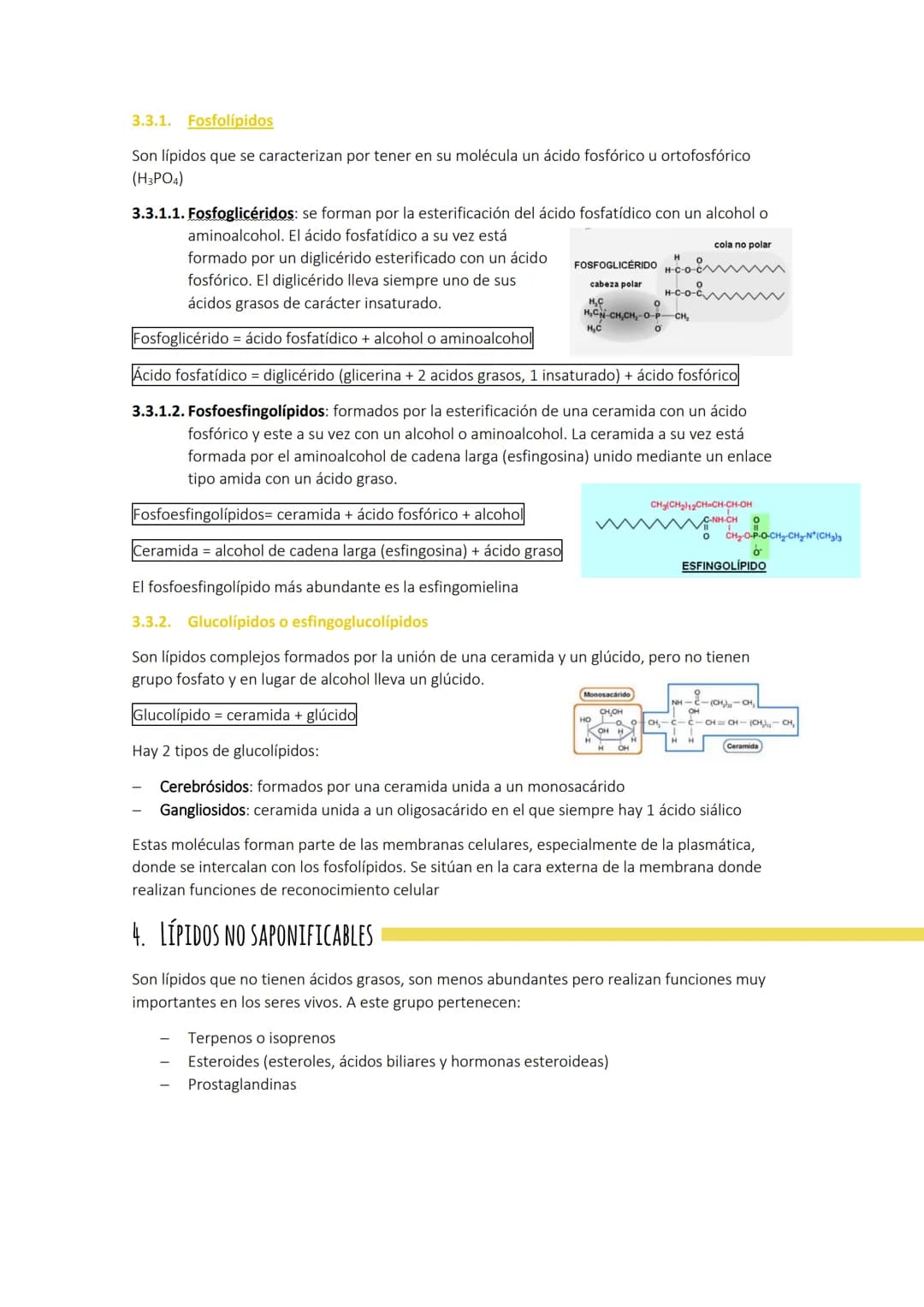 # Tema 3: LOS LÍPIDOS
1. CARACTERÍSTICAS GENERALES
Son biomoléculas orgánicas con funciones más amplias que las de los glúcidos. Están for