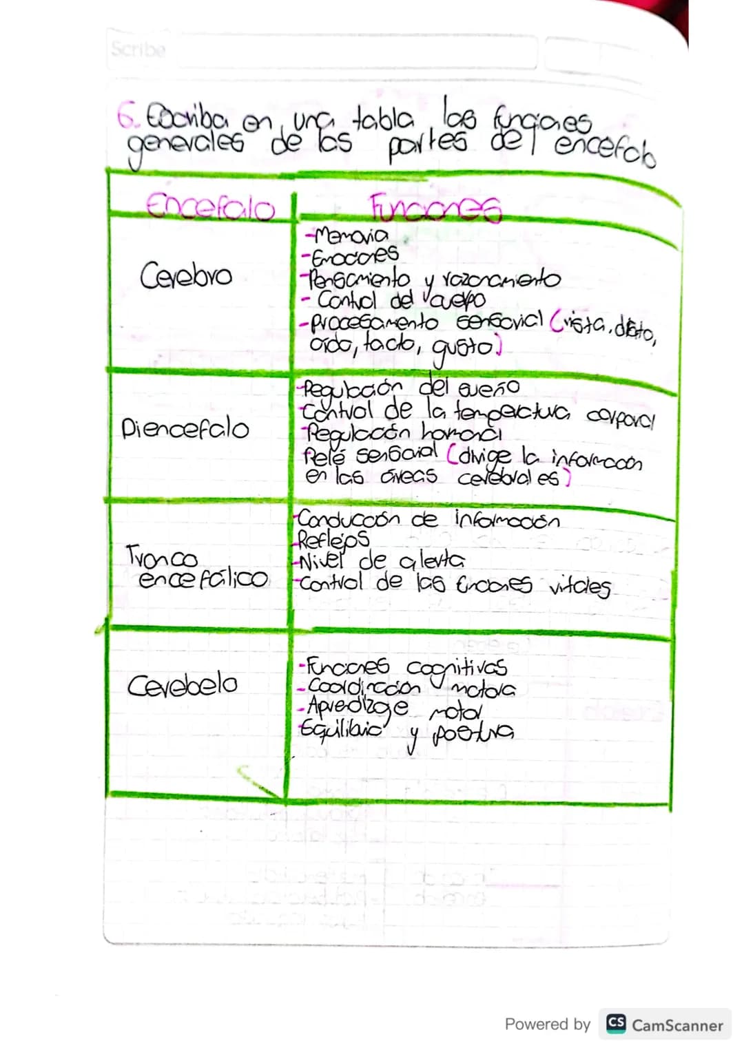 Scribe
6. Cocriba
corales de Pasta partes de encefch
Scriba en una tabla las fungiaes
generales
| Encefalo | Funcones |
| ----------- | --