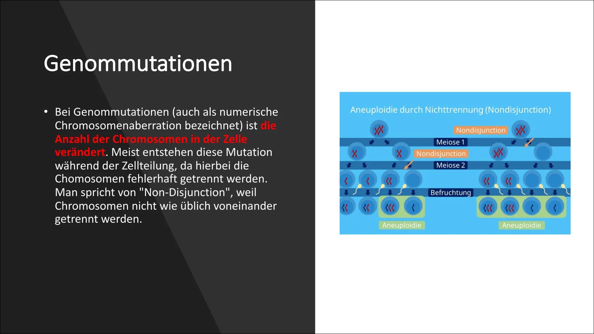 Erbkrankheiten Gliederung
• Was sind Erbkrankheiten?
• Wie entstehen sie?
• Arten der Mutation
• Die drei Unterteilungen der
Erbkrankheiten