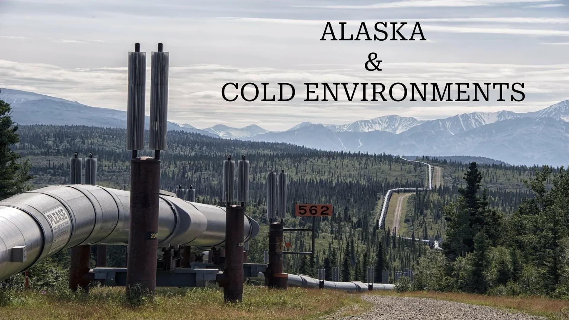 # ALASKA
&
COLD ENVIRONMENTS # Cold Environments
Cold environments are an important ecosystem with distinct characteristics and
adaptatio