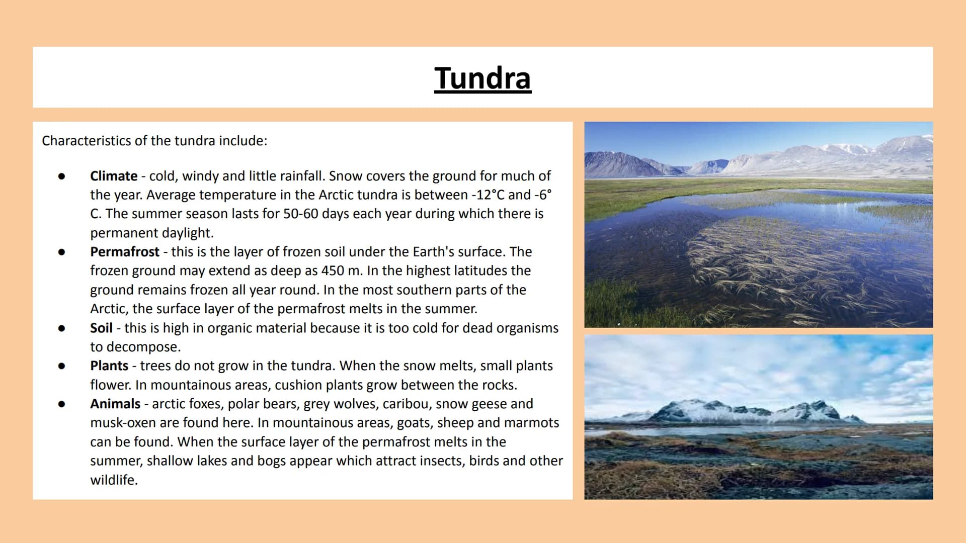 # ALASKA
&
COLD ENVIRONMENTS # Cold Environments
Cold environments are an important ecosystem with distinct characteristics and
adaptatio