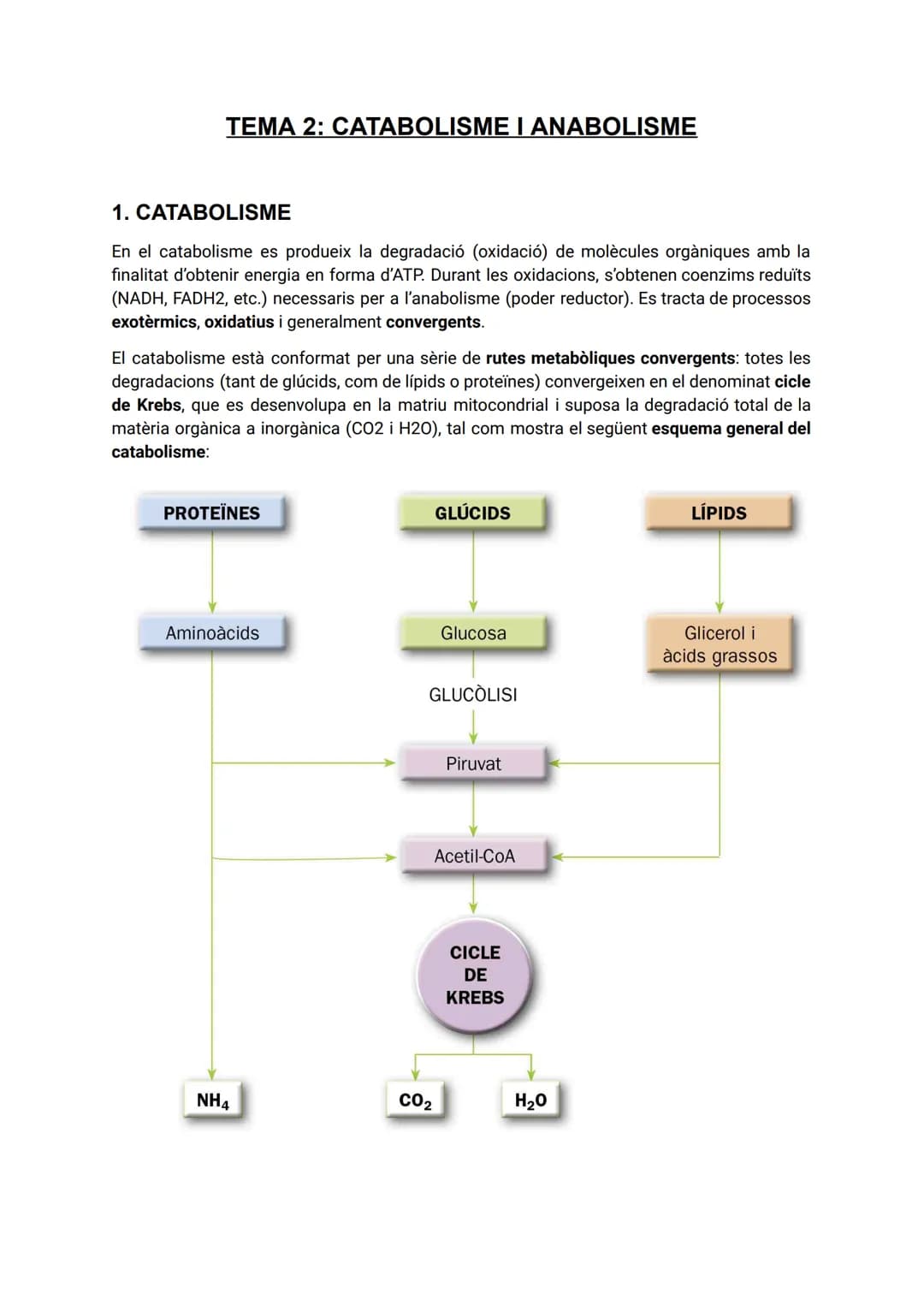 TEMA 2: CATABOLISME I ANABOLISME
1. CATABOLISME
En el catabolisme es produeix la degradació (oxidació) de molècules orgàniques amb la
fina