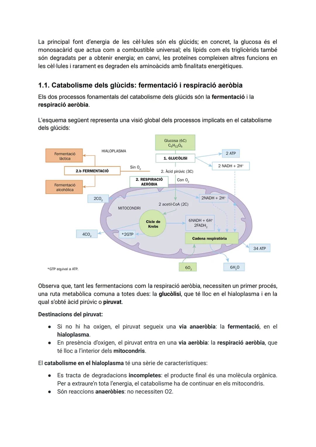 TEMA 2: CATABOLISME I ANABOLISME
1. CATABOLISME
En el catabolisme es produeix la degradació (oxidació) de molècules orgàniques amb la
fina