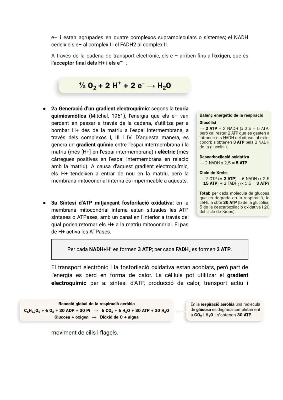 TEMA 2: CATABOLISME I ANABOLISME
1. CATABOLISME
En el catabolisme es produeix la degradació (oxidació) de molècules orgàniques amb la
fina