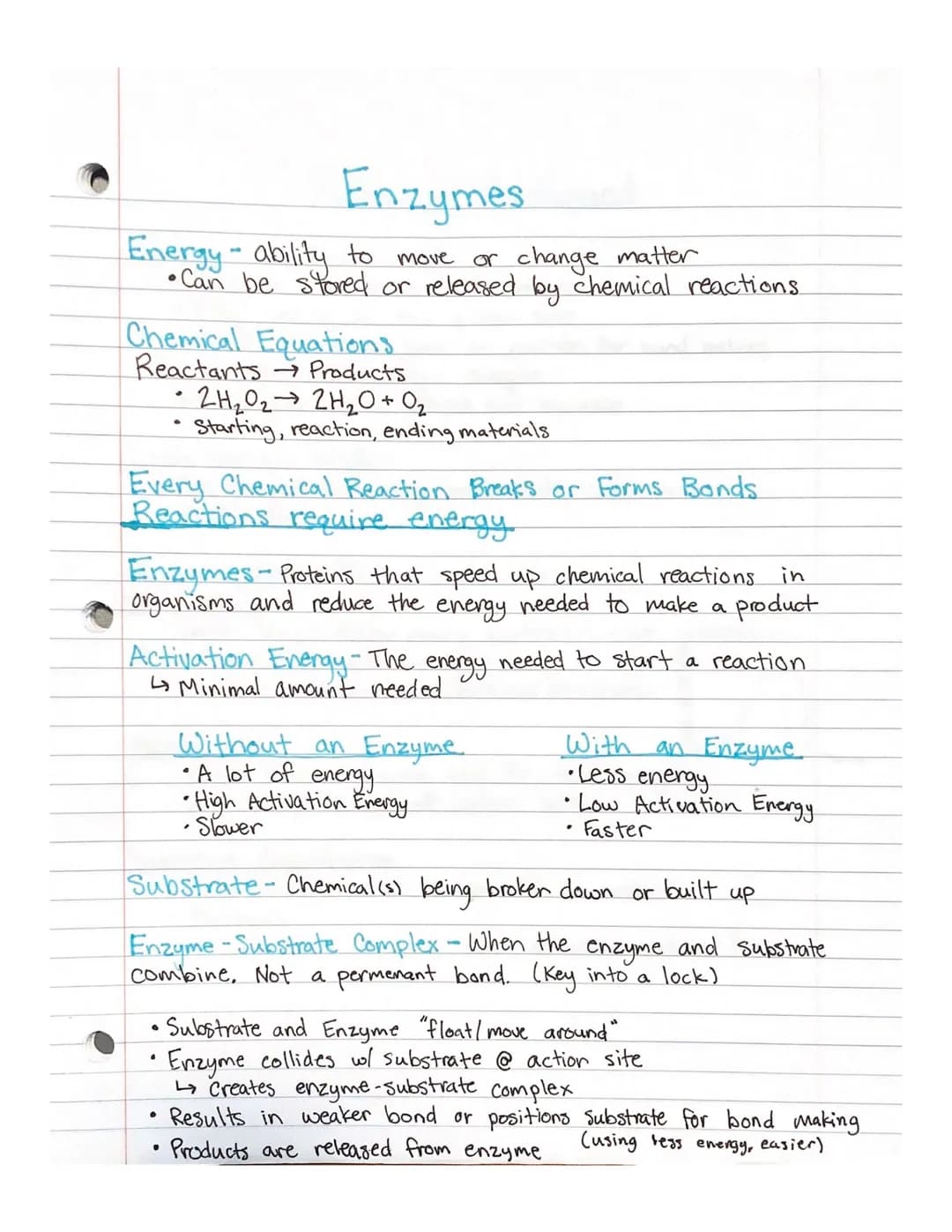 # Enzymes
Energy ability to move or change matter
* Can be stored or released by chemical reactions
Chemical Equations
Reactants Produ