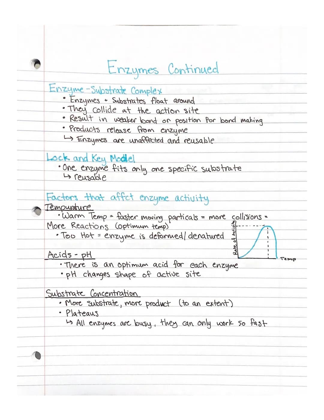 # Enzymes
Energy ability to move or change matter
* Can be stored or released by chemical reactions
Chemical Equations
Reactants Produ