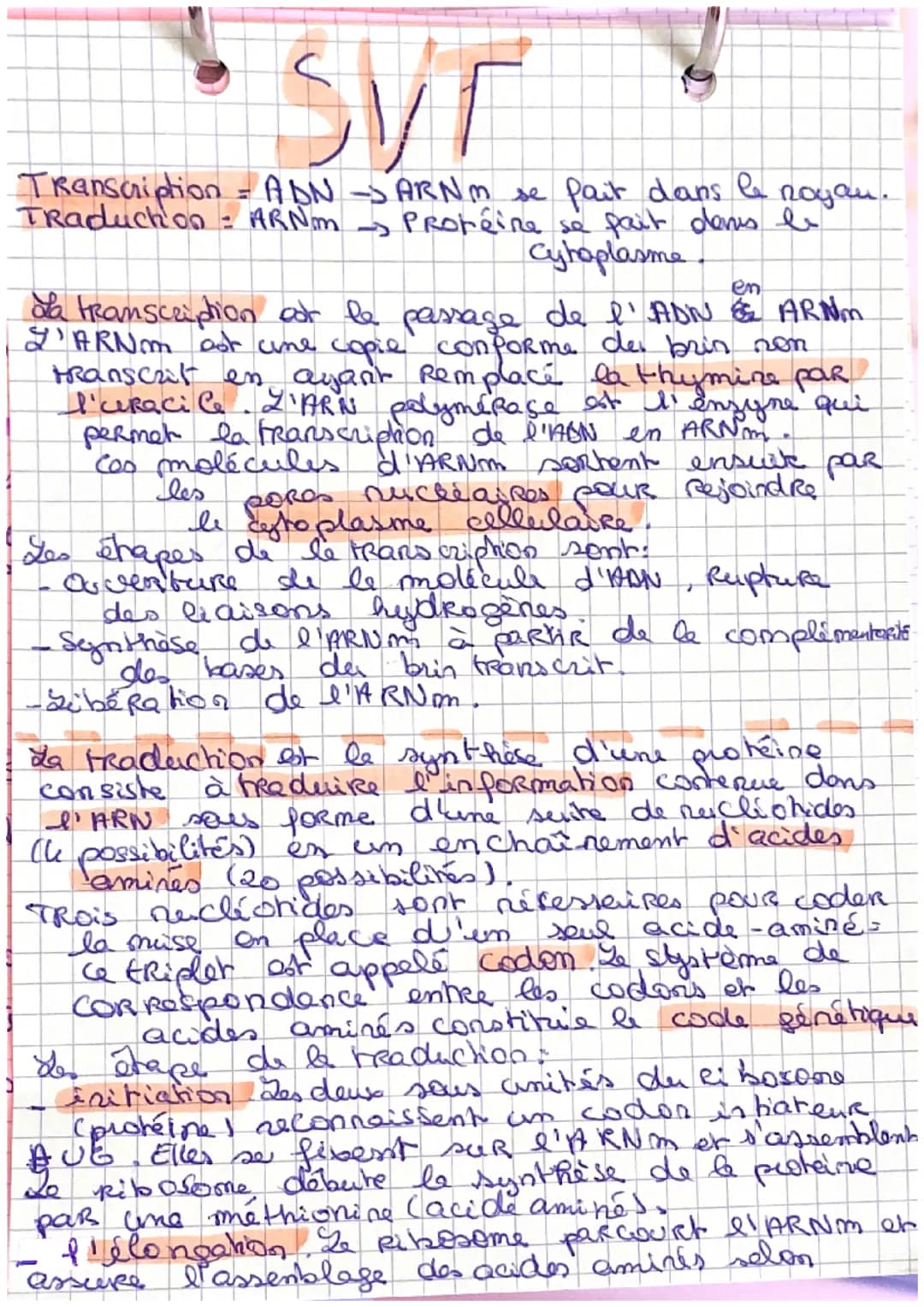 Syr
Transcription ADN ARNm se fait dans le noyau.
Traduchion: ARNm Protéine se fait dans le
Cytoplasme
en
da transcription cor le passage