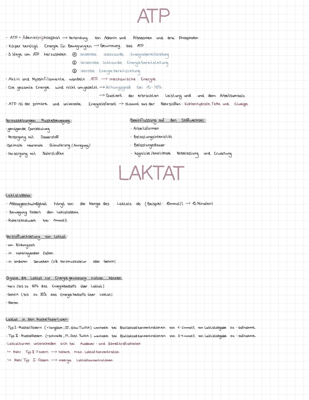 # AKTIVER
BEWEGUNGSAPPARAT
-Hausaufgabe-
Muskelaufbau:
Knochen
Muskelfaser bündel
Muskel
-Myosin
Aktin
Muskelfaser
Sehne
Blutgefäße
30.08