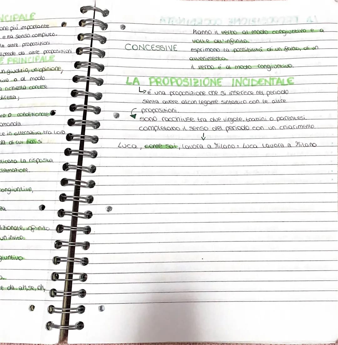 # LA PROPOSIZIONE PRINCIPALE
La proposizione principale é la proposizione più importante
del perioodo, che può stare anche da sola e na sen