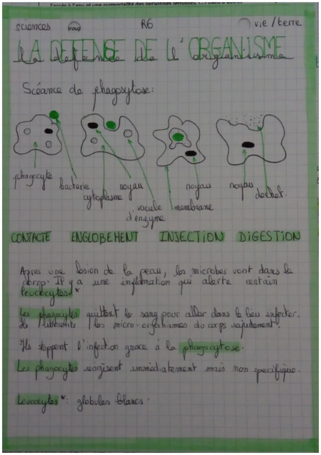sciences
troup
R6
vie/terre
LA DEFENSE DE LI ORGANISME
Scéance de phaorytare:
phagocyte bacterie
Cytoplasme you
noyau noyau dochet.
vacule