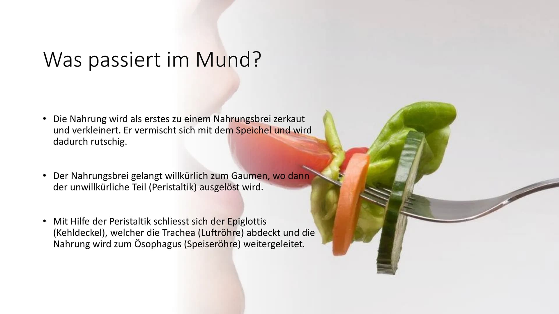 Mund
Gaumen
Uvula
Zunge
Zähne
Rachen
Speiseröhre
Klientinnen und
Klienten bei der
Ernährung
unterstützen
Handlungskompetenz B.5
Speicheldrüs