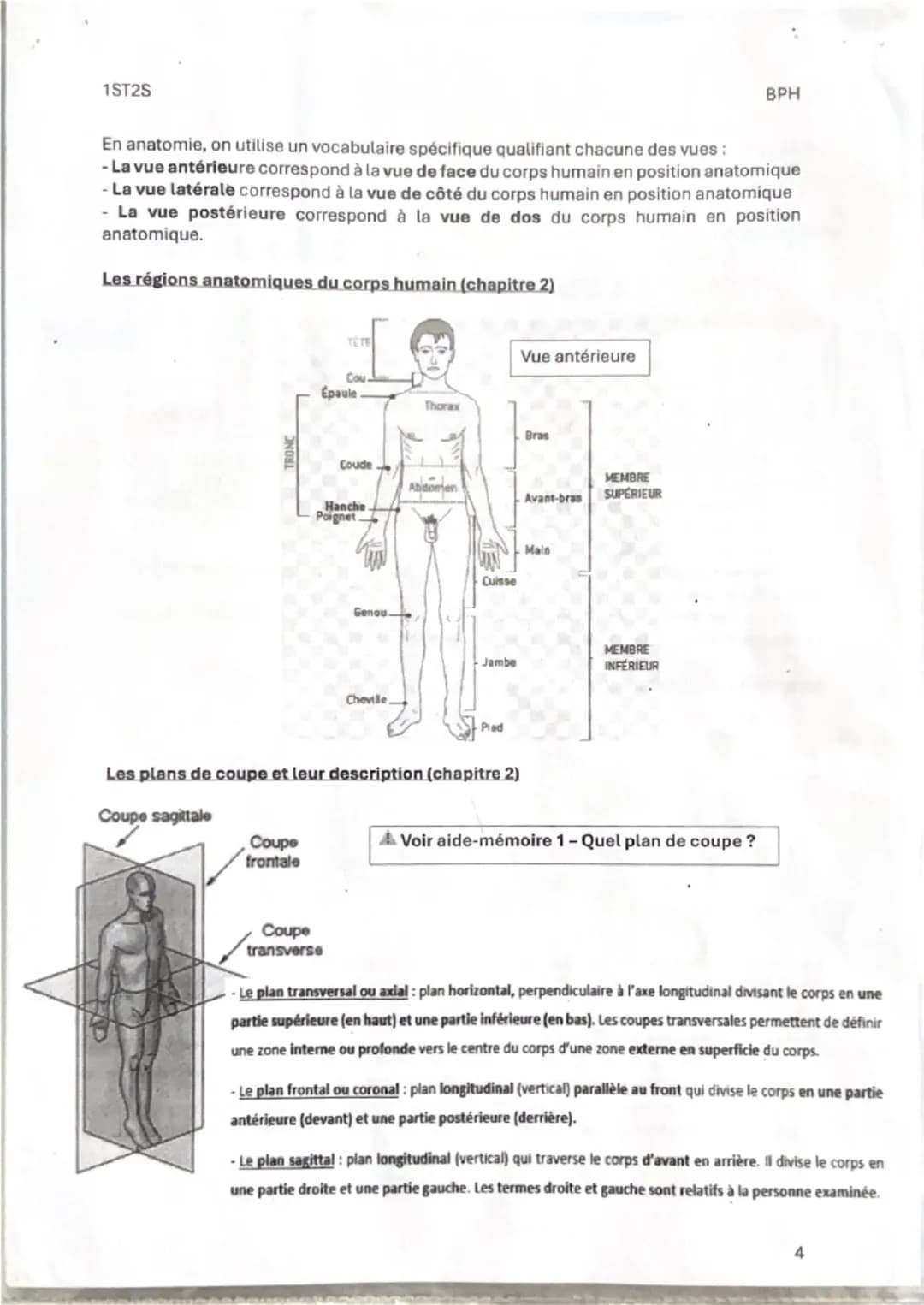 1ST25
Fiche de révision 1
Thème 1: Organisation et fonctionnement intégré de l'être humain
Chapitre 1: Les niveaux d'organisation de l'orga