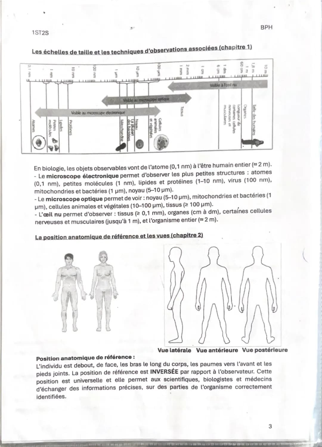 1ST25
Fiche de révision 1
Thème 1: Organisation et fonctionnement intégré de l'être humain
Chapitre 1: Les niveaux d'organisation de l'orga