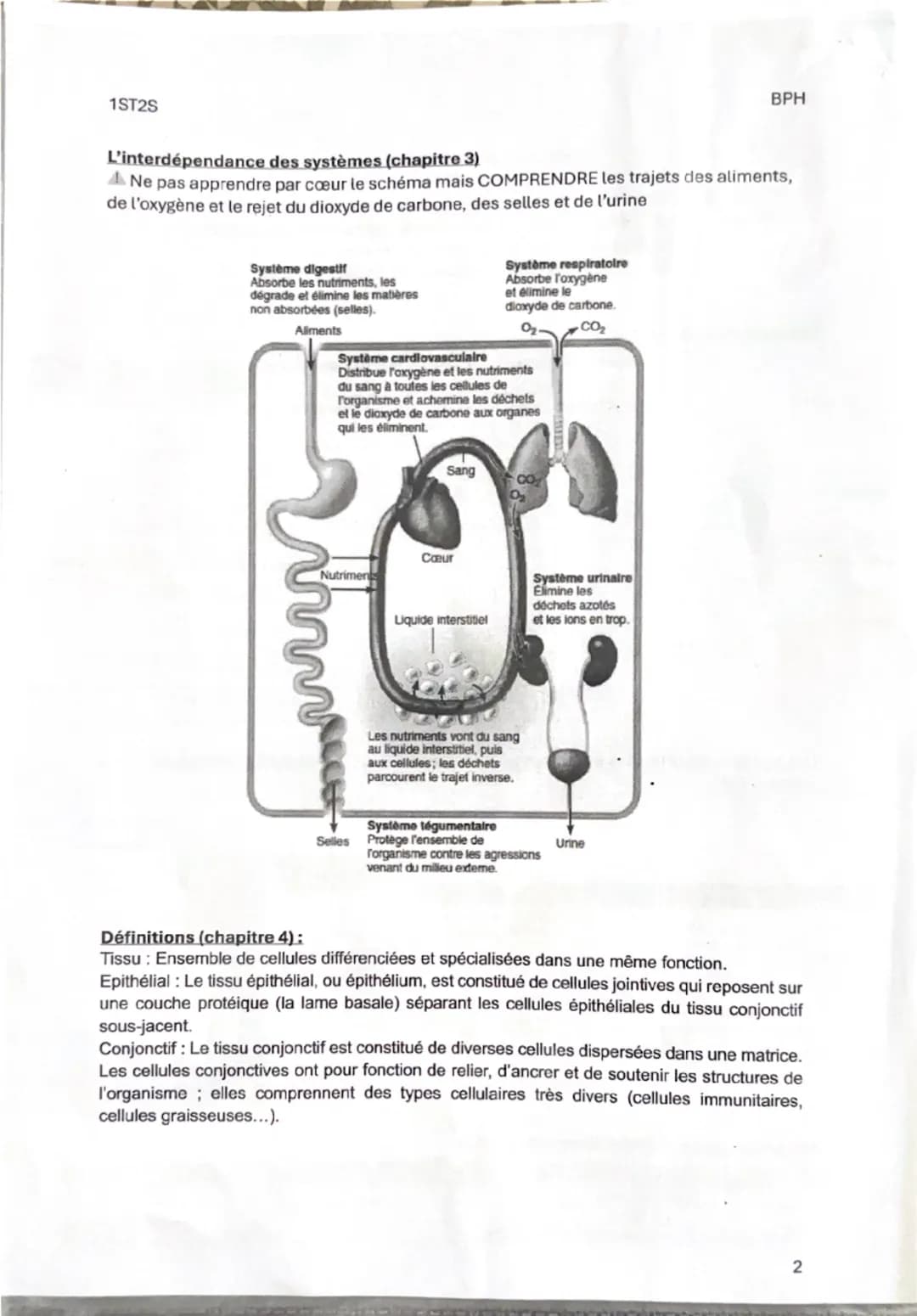 1ST25
Fiche de révision 1
Thème 1: Organisation et fonctionnement intégré de l'être humain
Chapitre 1: Les niveaux d'organisation de l'orga