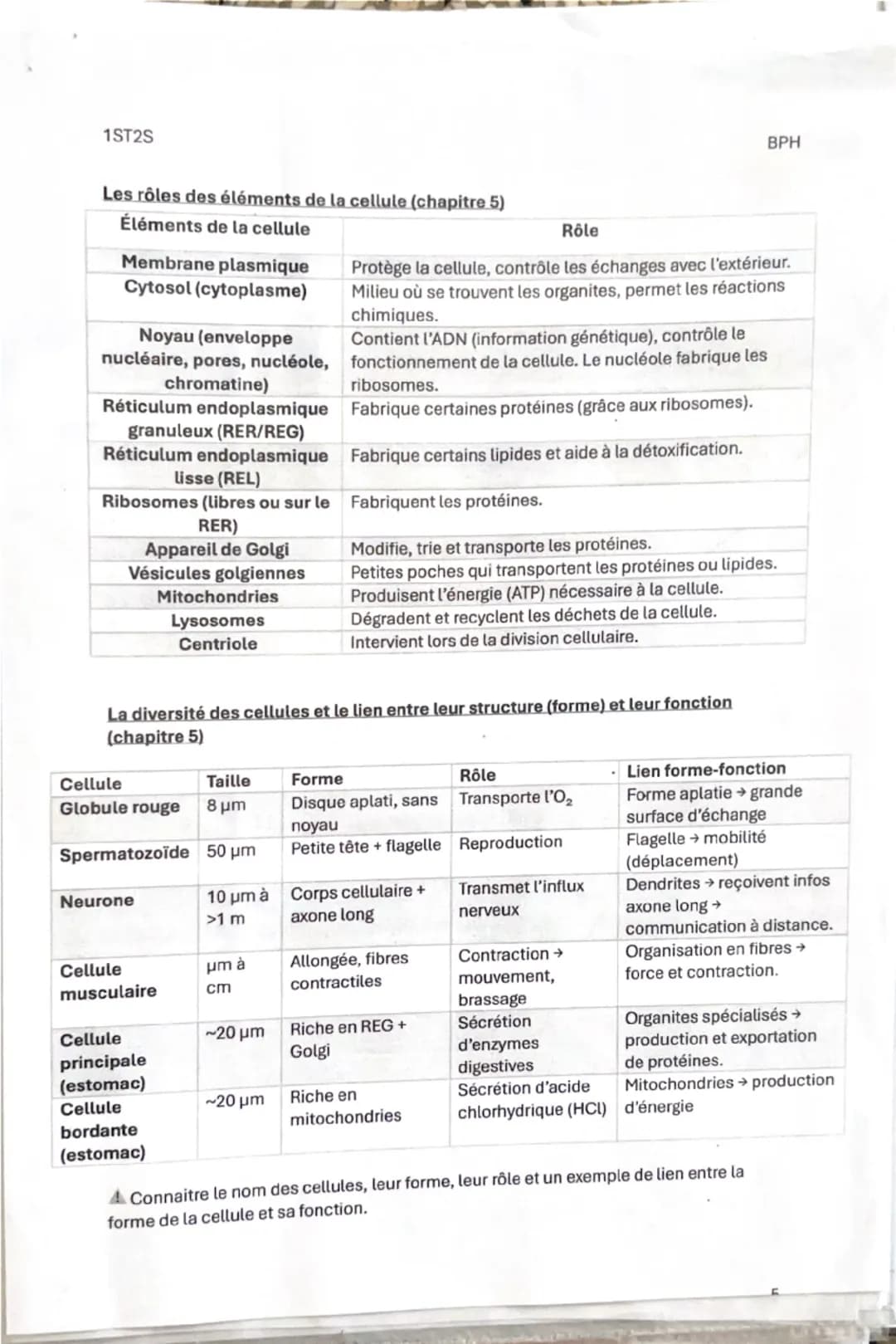 1ST25
Fiche de révision 1
Thème 1: Organisation et fonctionnement intégré de l'être humain
Chapitre 1: Les niveaux d'organisation de l'orga