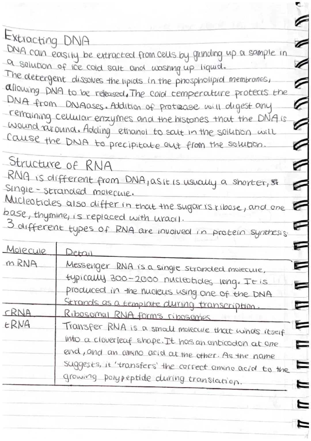 1.6 Nucleic acids and their functions.
Nucleotides
> DNA + RNA are made up of monomers called nucleotides.
beach nucleotide contains a phos