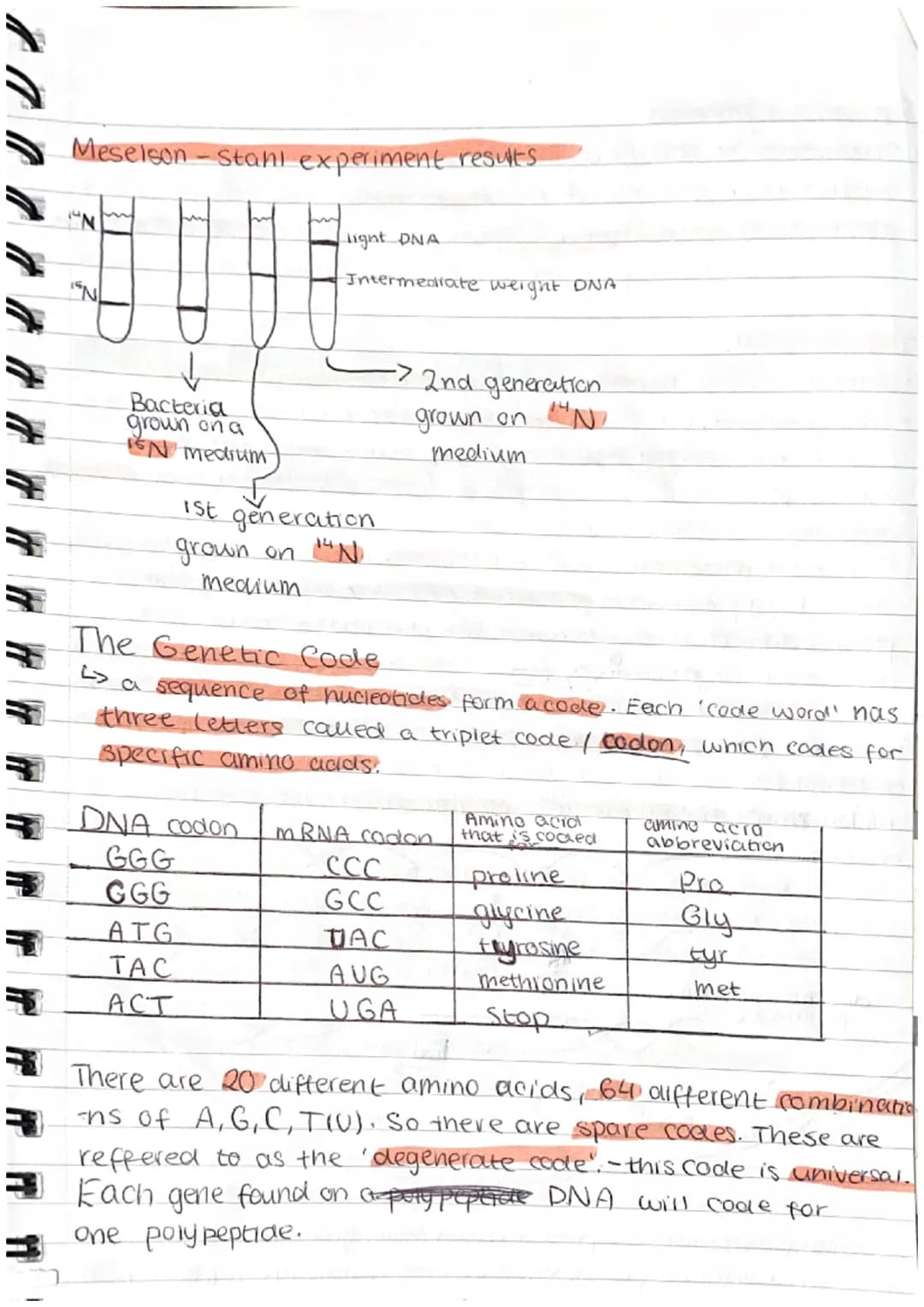 1.6 Nucleic acids and their functions.
Nucleotides
> DNA + RNA are made up of monomers called nucleotides.
beach nucleotide contains a phos