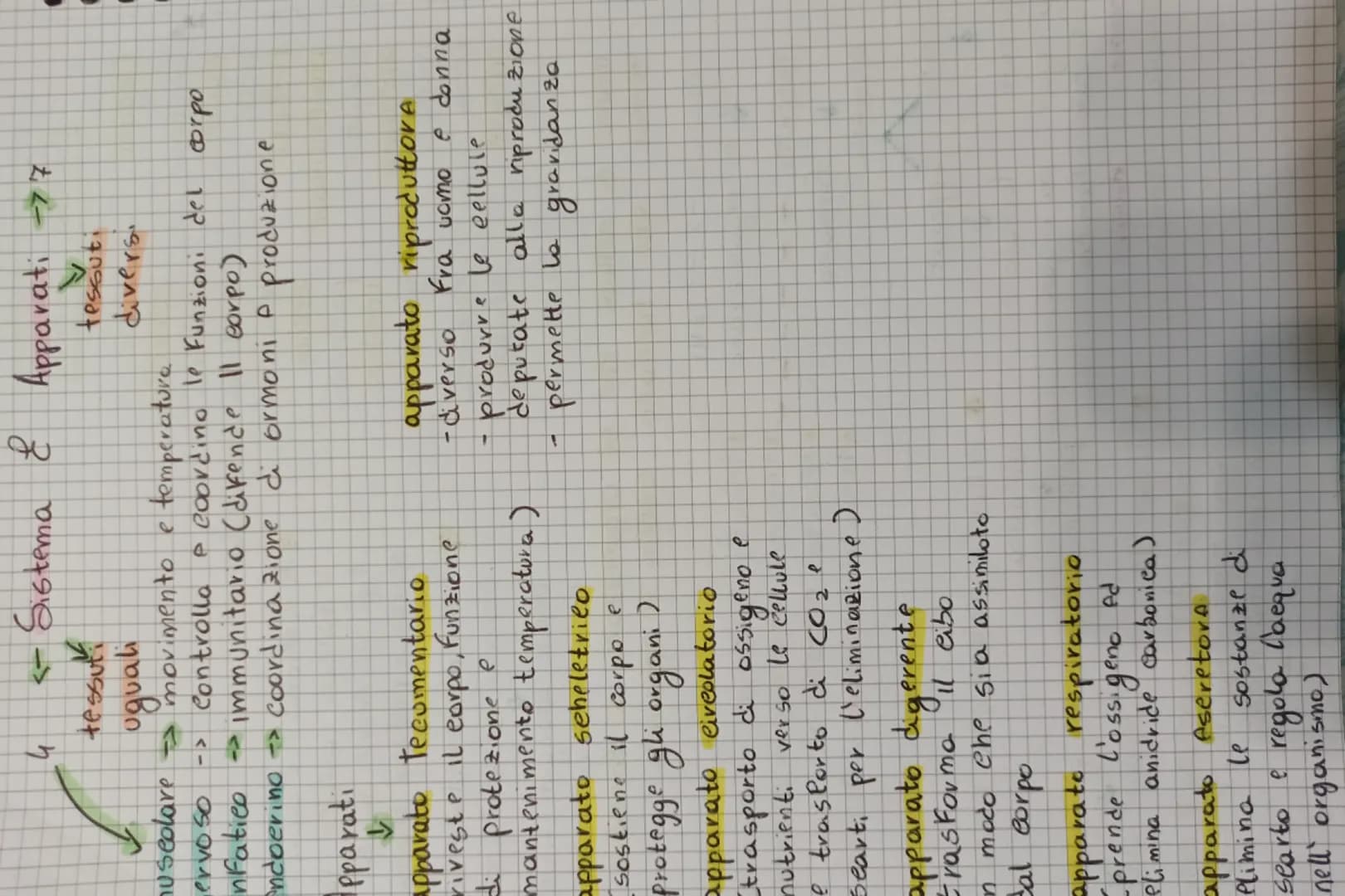 4 <- Sistema & Apparati
tessuti
uguali
muscolare movimento e temperature
ervoso -> Controlla e coordino le funzioni del corpo
nfatico ->im