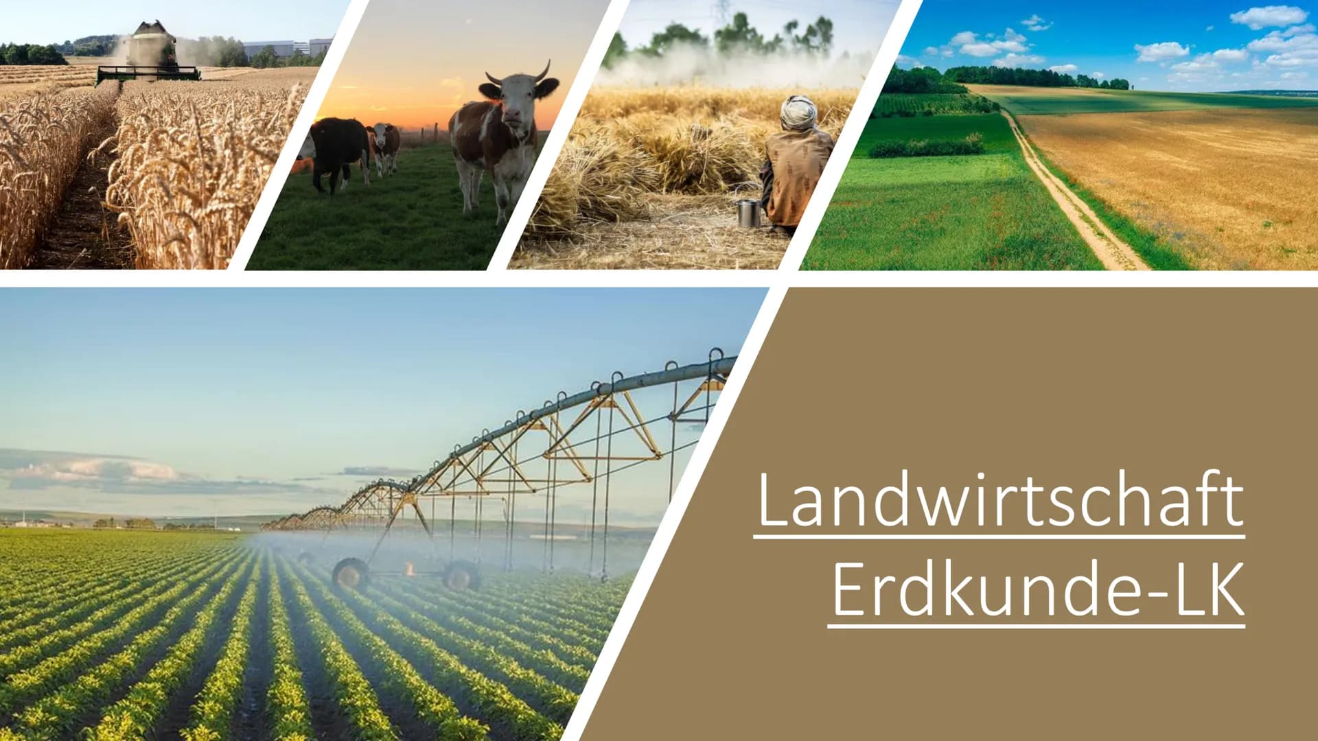 Landwirtschaft
Erdkunde-LK Inhaltsverzeichnis
• Fachbegriffe, Klimazonen
• Passende Lokalisierung
• Landwirtschaft (Tropen und gemäßigten Z