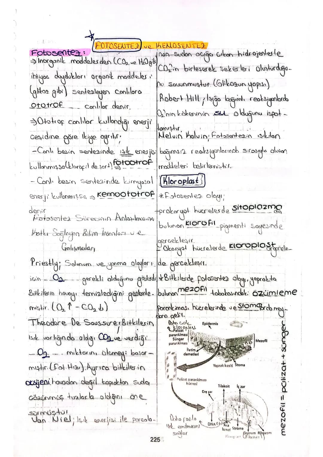 # FOTOSENTEZ ve KENOSENTEZ
Fotosentez:
Inorganik moddeles den (CO₂ ve H₂O gibi)
ihtiyac duydukları organik maddeles.
(glitaz gibi) sente