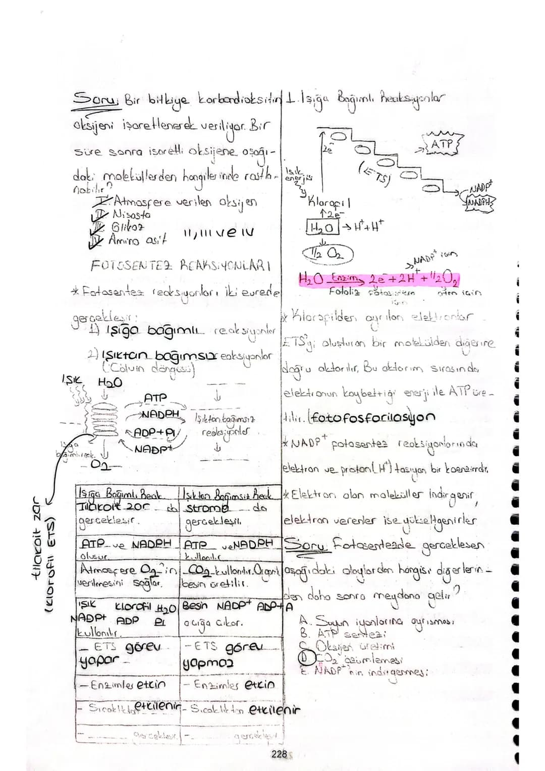 # FOTOSENTEZ ve KENOSENTEZ
Fotosentez:
Inorganik moddeles den (CO₂ ve H₂O gibi)
ihtiyac duydukları organik maddeles.
(glitaz gibi) sente