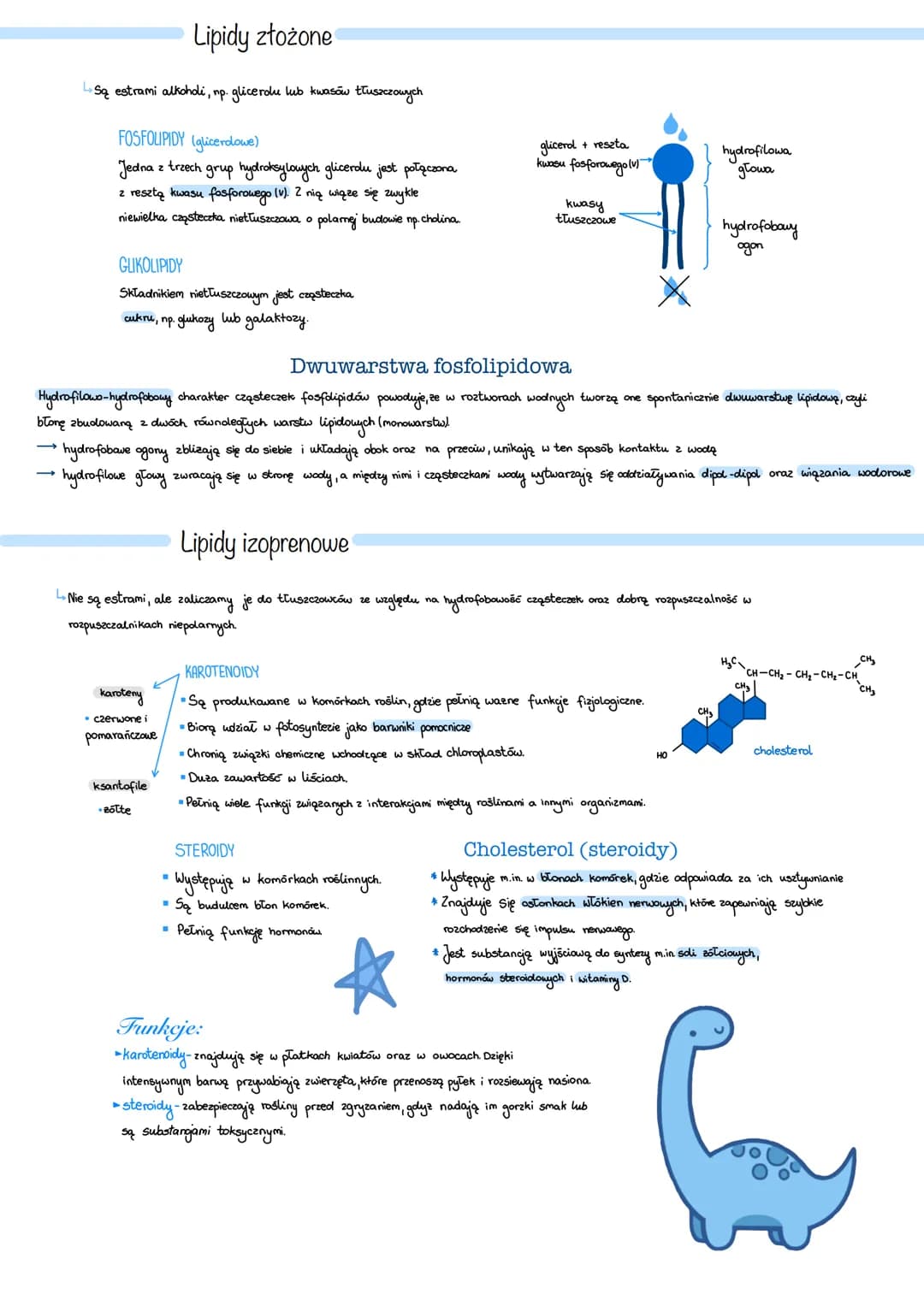 # Lipidy
Budowa
* Lipidy składają się zwykle z węgla (c), wodoru (H) i tlenu (0),
czasem azotu (N) i fosforu (P).
* Niepolarne czą