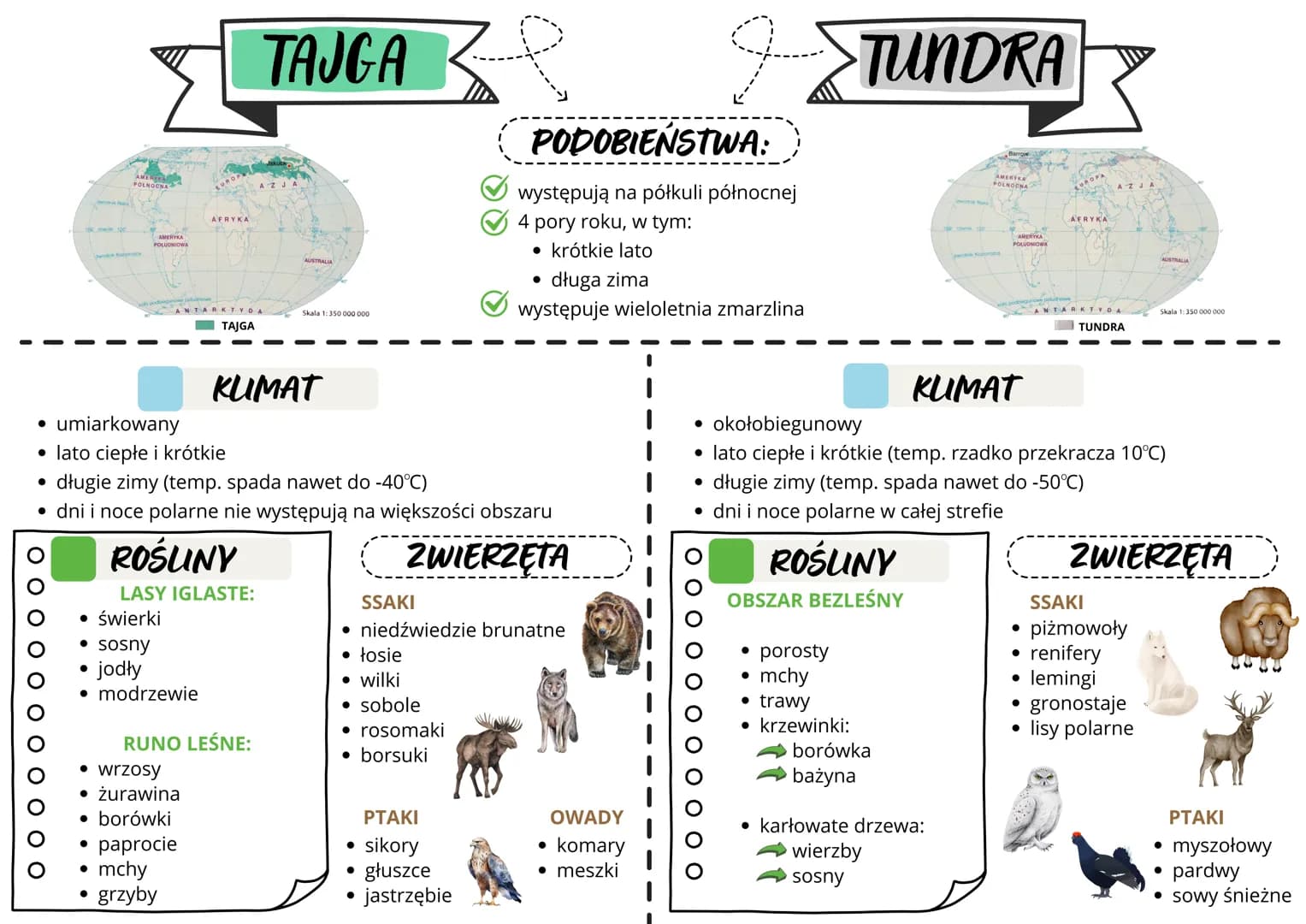 POLNOCNA
AFRYKA
AMERYKA
POLUDNIOWA
TAJGA
AUSTRALIA
ANT
Skala 1:350 000 000
TAJGA
PODOBIEŃSTWA:
występują na półkuli północnej
4 pory roku,