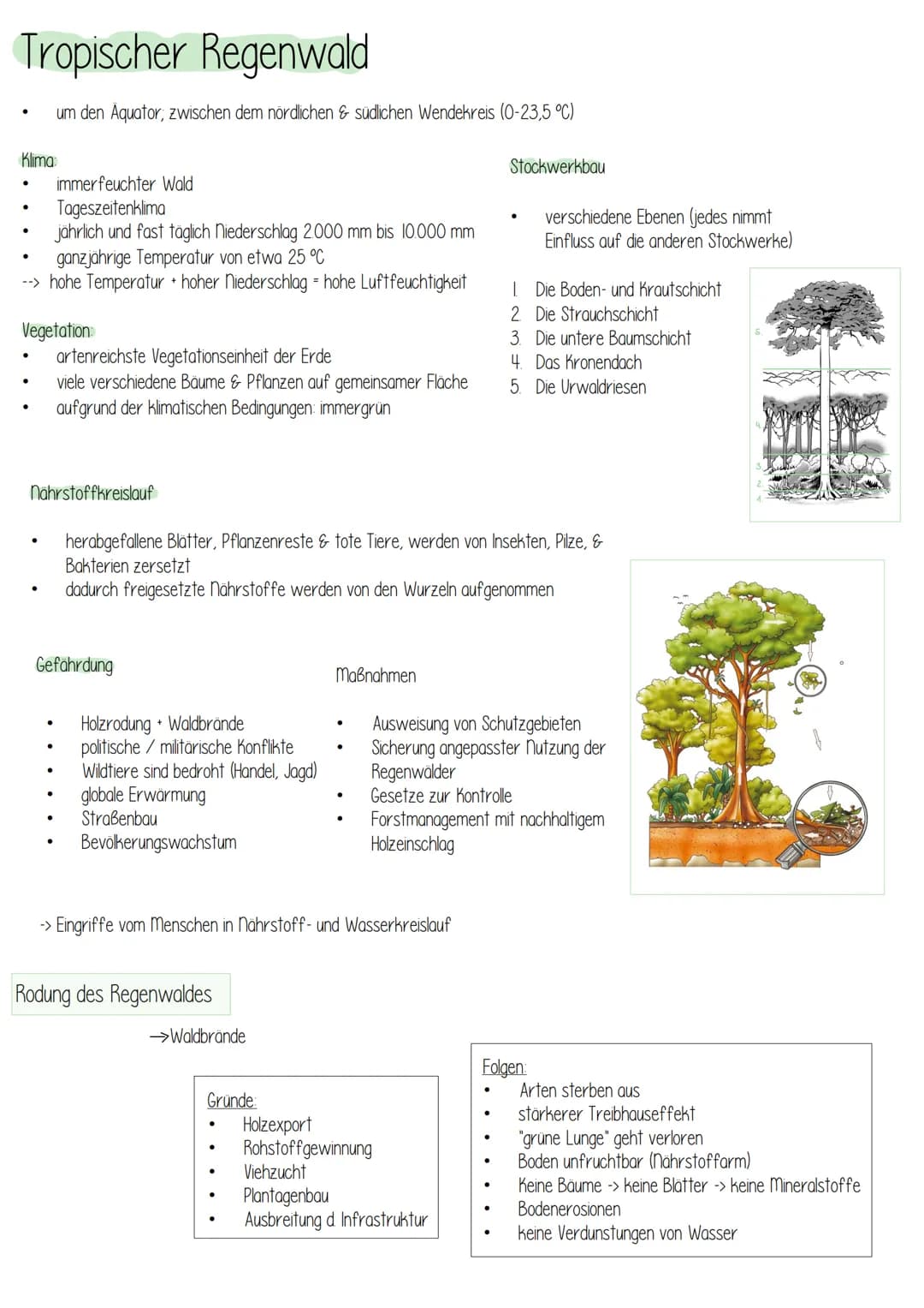 # Erdkunde
LANDWIRTSCHAFT Inhaltsfeld 3:
Landwirtschaftliche
Strukturen in verschie-
denen Klima- und Vege-
tationszonen
Landwirtschaftlic