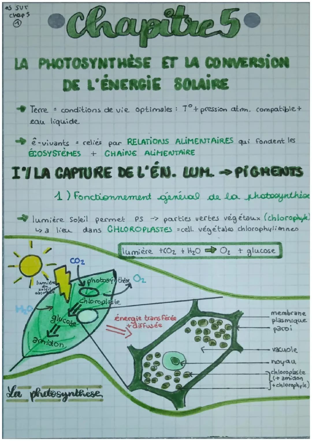 eS SUT
chops
•Chapitre 5.
LA PHOTOSYNTHÈSE ET LA CONVERSION
DE L'ÉNERGIE SOLAIRE
$
rightarrow$ Terre = conditions de vie optimales: T°+ p