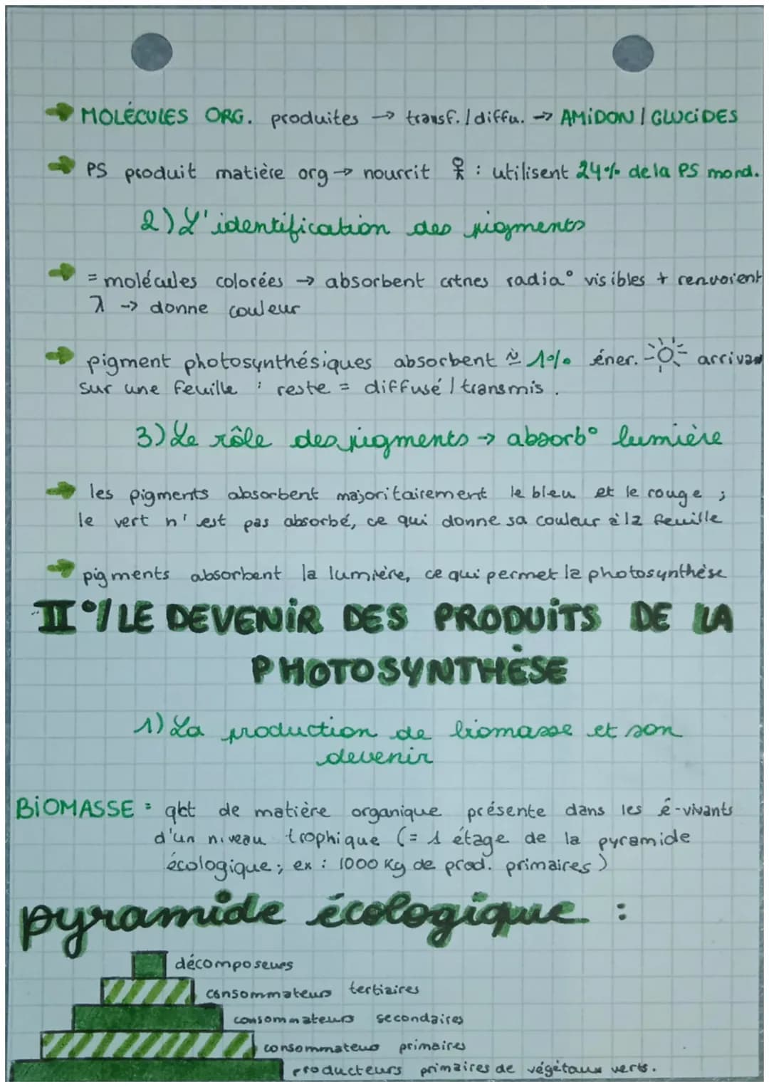 eS SUT
chops
•Chapitre 5.
LA PHOTOSYNTHÈSE ET LA CONVERSION
DE L'ÉNERGIE SOLAIRE
$
rightarrow$ Terre = conditions de vie optimales: T°+ p