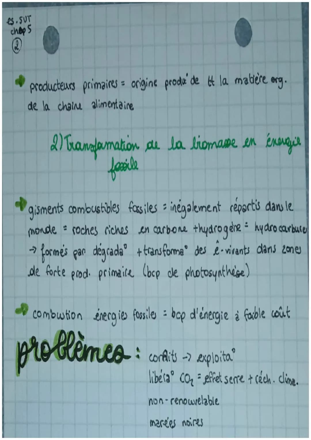 eS SUT
chops
•Chapitre 5.
LA PHOTOSYNTHÈSE ET LA CONVERSION
DE L'ÉNERGIE SOLAIRE
$
rightarrow$ Terre = conditions de vie optimales: T°+ p
