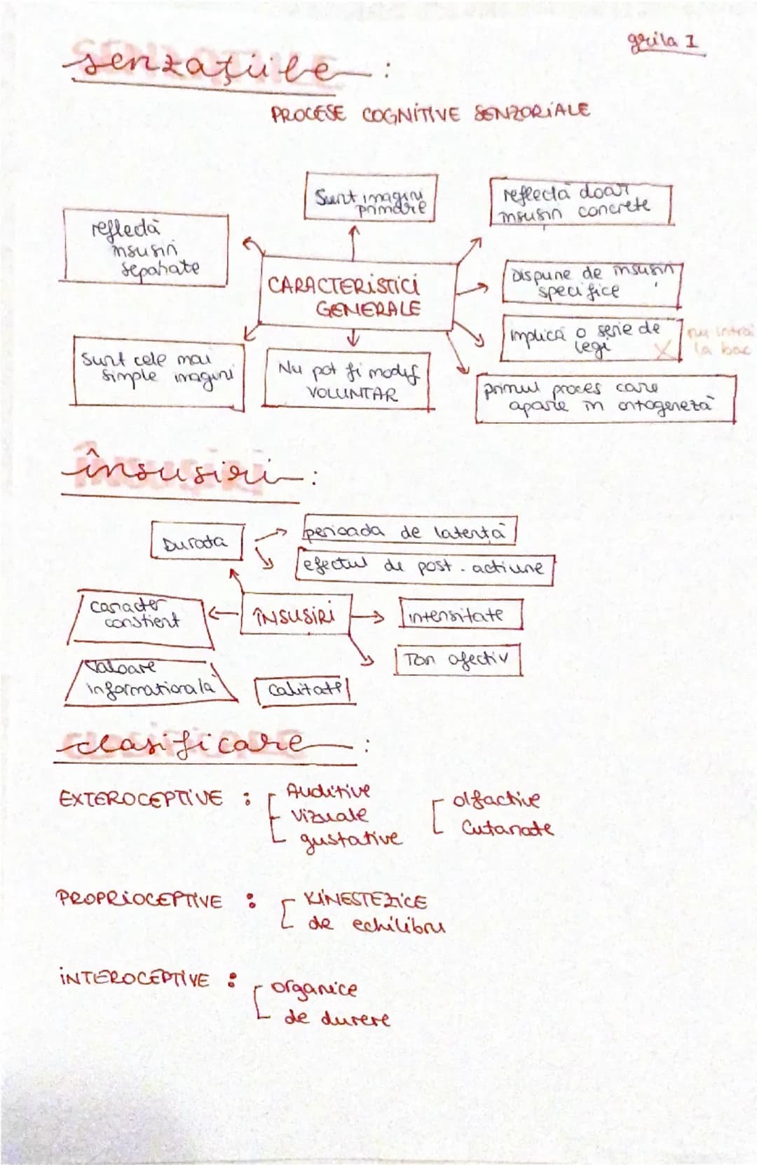 procese pritive cognitive
senzoriabe
PROCESELE COGNITIVE SENDORIALE
| I Senzatia | II Perceptia | III Reprezentarea |
| ----------- | -----