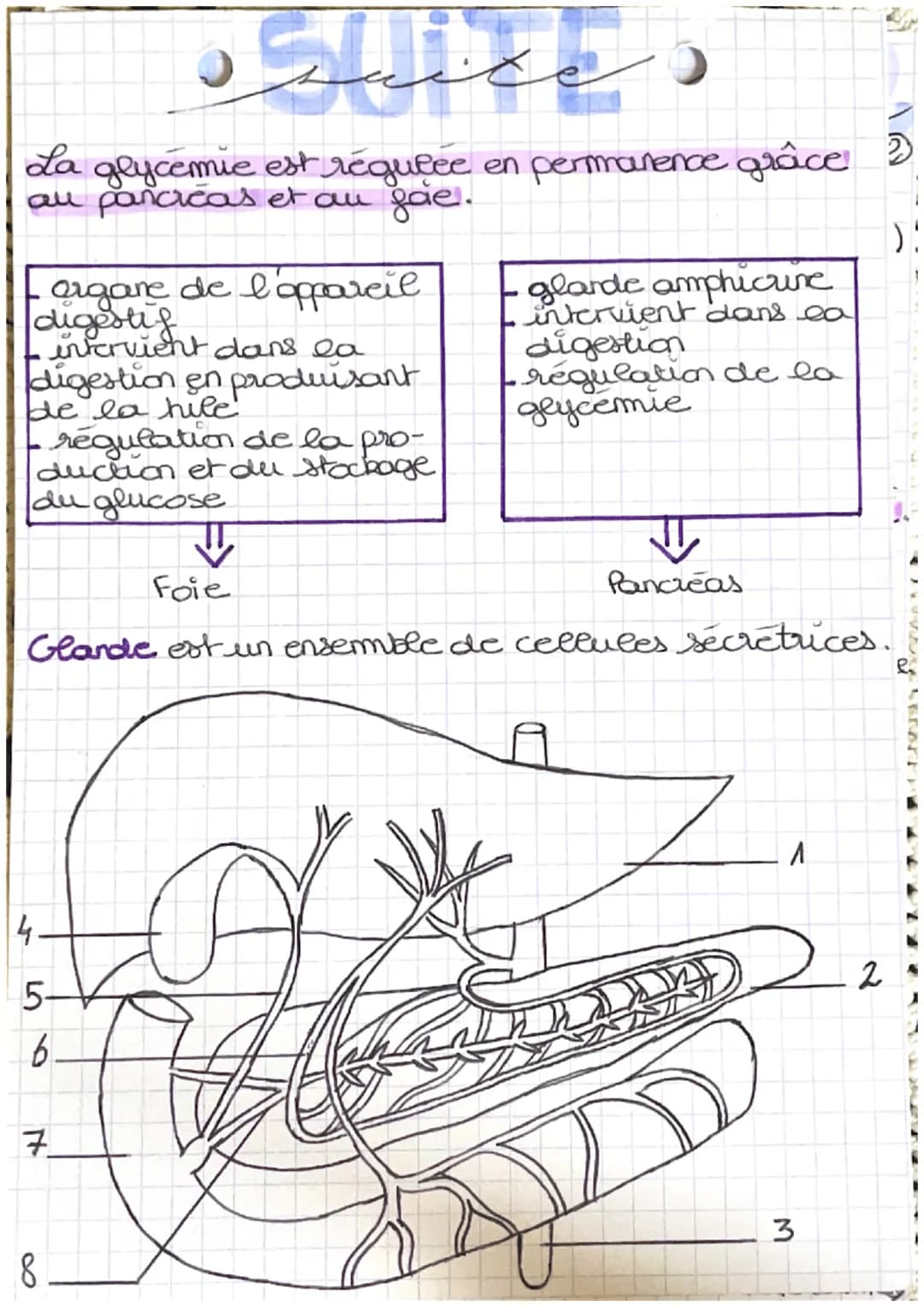 # ppbiologies
glyclo) = glucose émie = concentration dans le sang.
glycémie: est le tause de glucose dans le sang
glucose: nutrimont energe