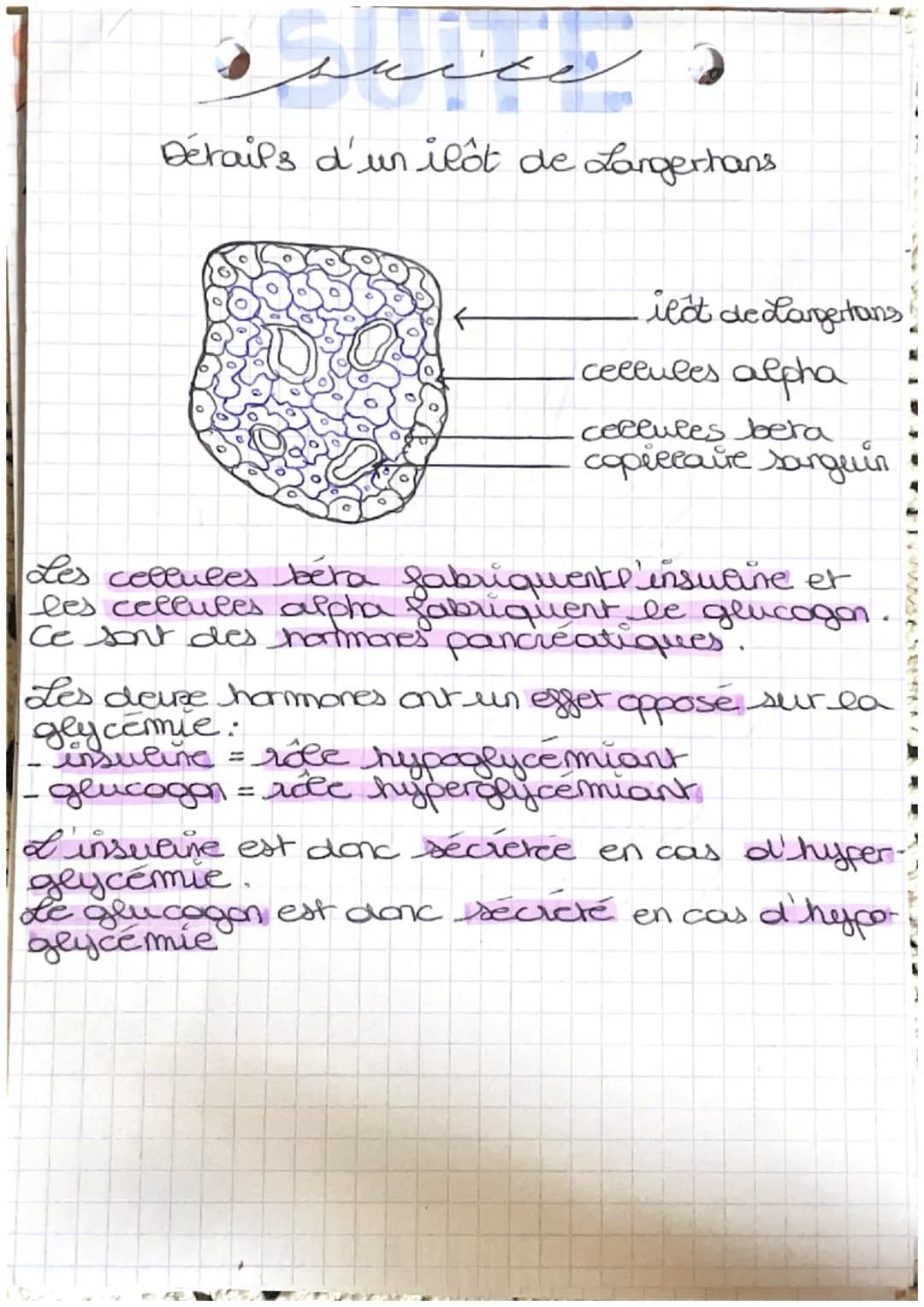 # ppbiologies
glyclo) = glucose émie = concentration dans le sang.
glycémie: est le tause de glucose dans le sang
glucose: nutrimont energe