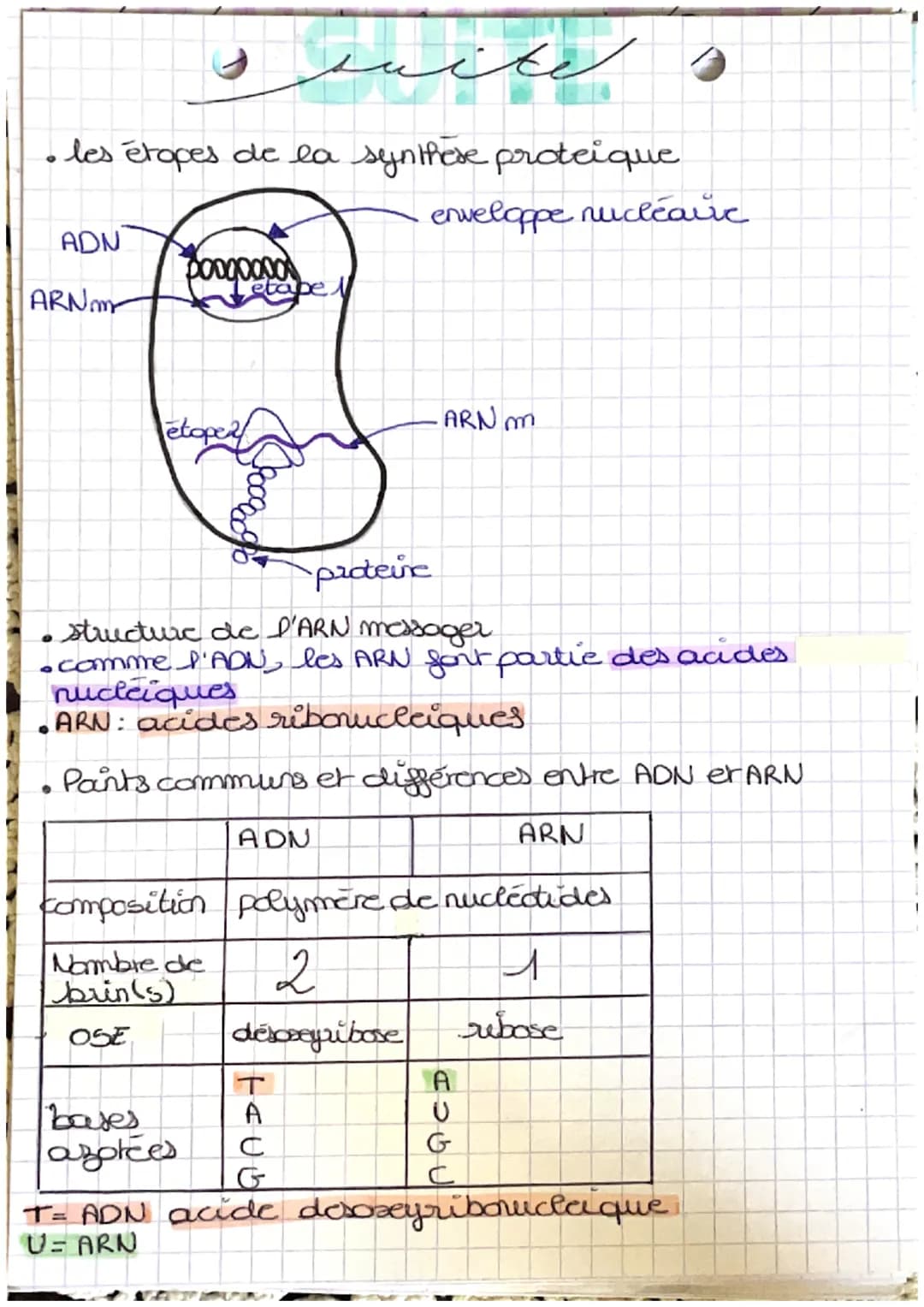 # piologica
Cellule et information génétique : 1
- localisation de la cellule dans le nayau
- rature du matériel génétique: 46 molécules d