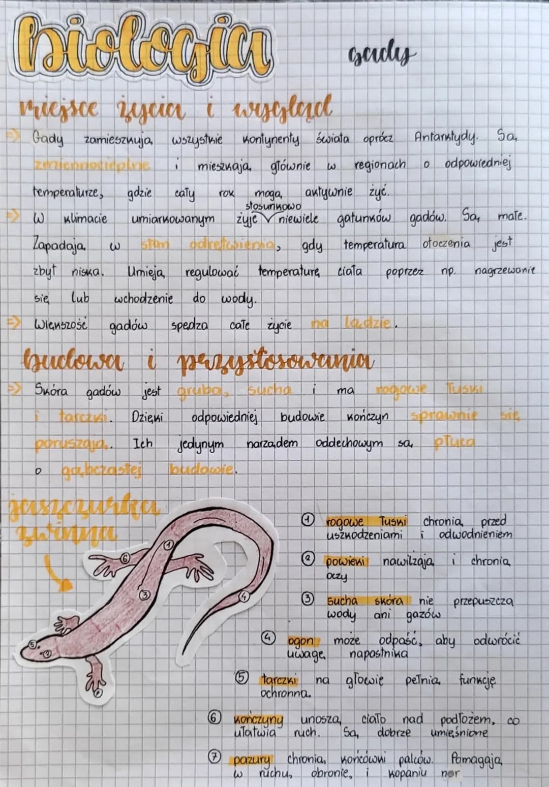 # biologia
gady
miejsce życia i wygląd
Gady zamiesznuja, wszystkie kontynenty świata oprócz Antarktydy. Sa
zamiesznuja, wszystkie kontyne