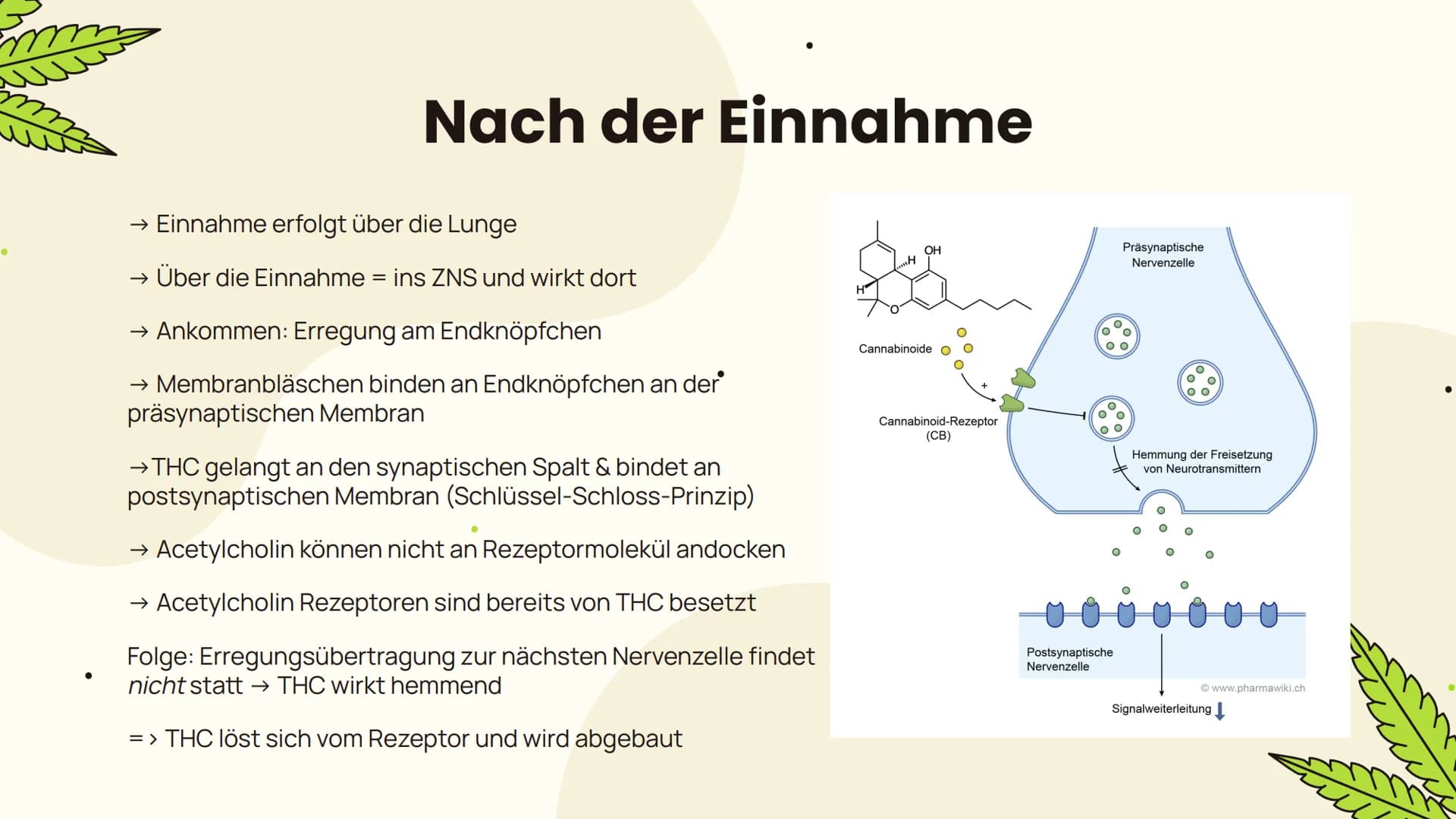 # Cannabis
... Folgen und Wirkung... Allgemeines
Aufbau, Inhaltsstoffe,
Konsumform
Suchtpotenzial
Folgen
Kurzzeitfolgen,
Langzeitfolgen