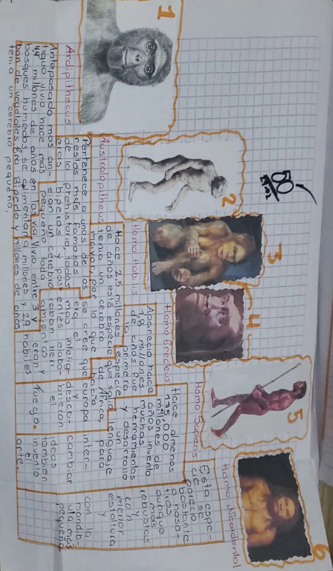 1
5
Homo habilis
Homo So
Homo Neardental
Esta espe-
Sapiens cie se
parecio
bastante
Homo Erecteus Hace almenos a nosa-
175,000 tros
millone