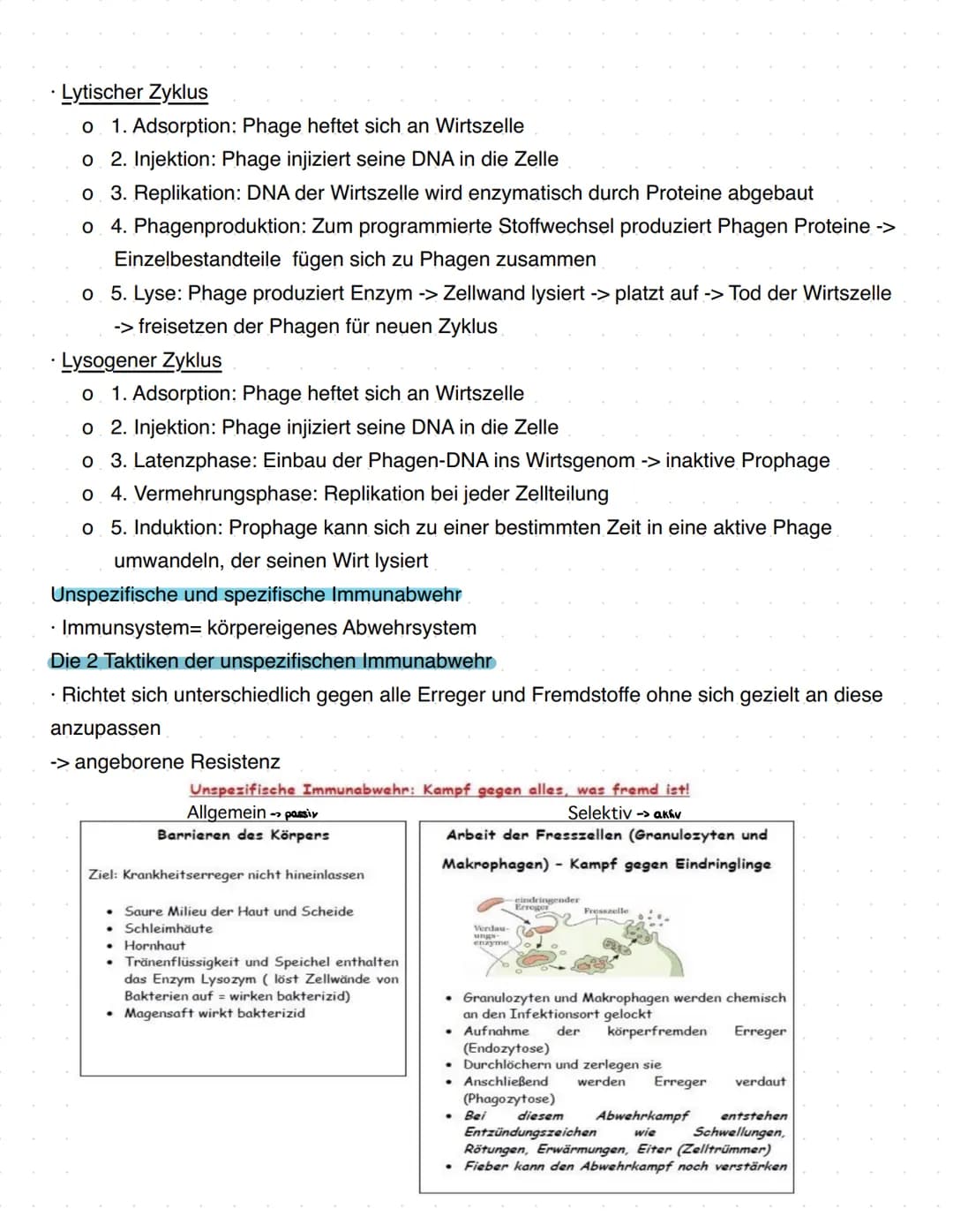 # Immunbiologie
Grundlagen des Immunsystems
= Teilbereich der Biologie, der sich mit biologischen und biochemischen Grundlagen der
körperlic