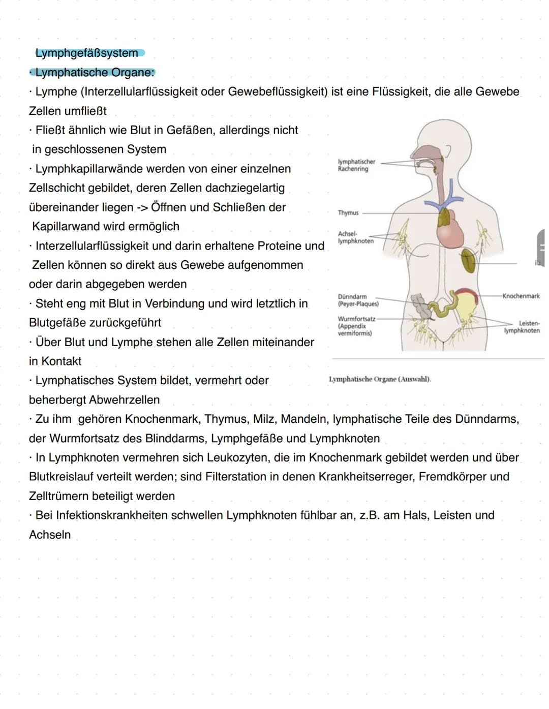 # Immunbiologie
Grundlagen des Immunsystems
= Teilbereich der Biologie, der sich mit biologischen und biochemischen Grundlagen der
körperlic