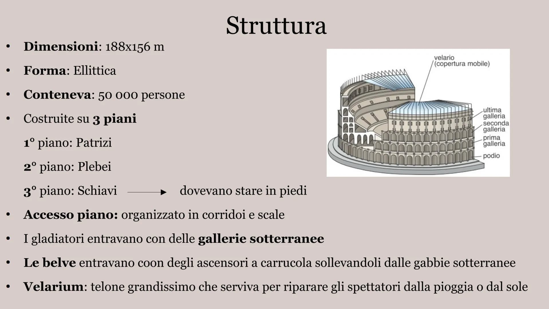 # IL COLOSSEO # Struttura
• Dimensioni: 188x156 m
• Forma: Ellittica
• Conteneva: 50 000 persone
• Costruite su 3 piani
1º piano: Pat