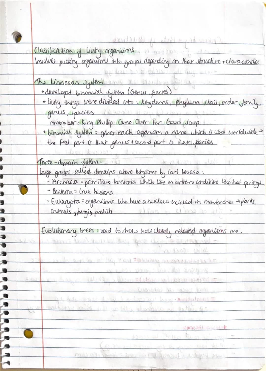 Biology - Inheritance, Variation + Evolution
Sexual + Asexual Reproduction:
involves the fusion of male and female gametes
- sperm + egg cel