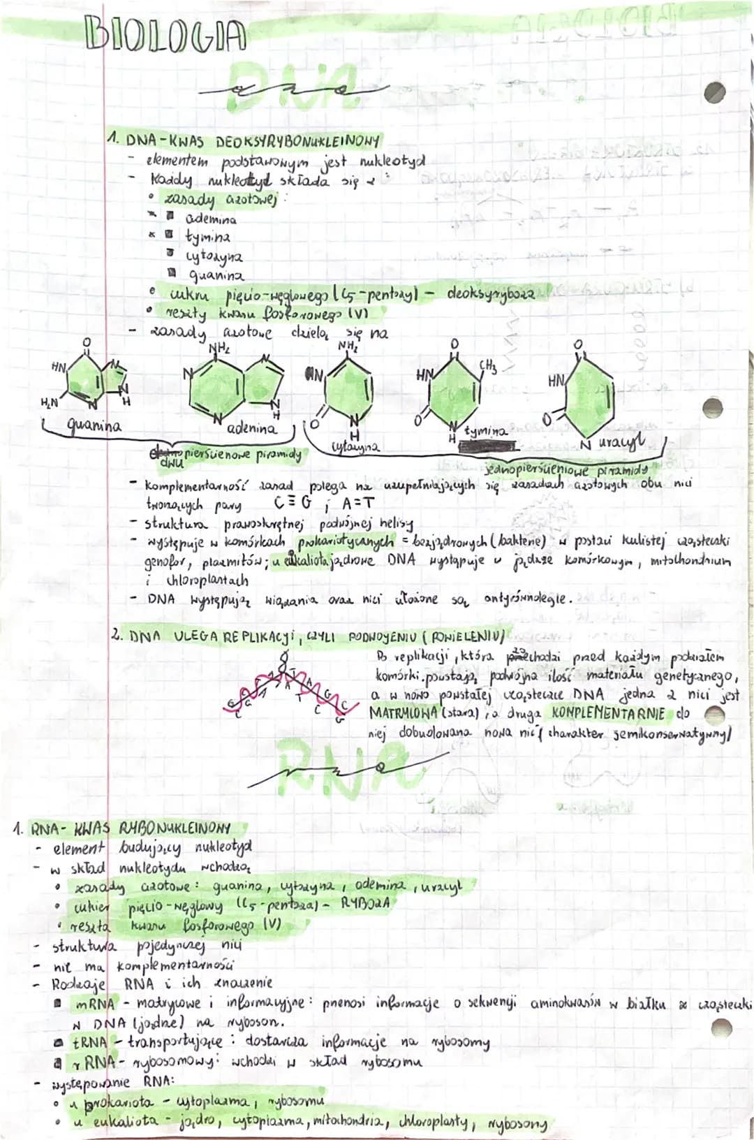 # BIOLOGIA
1. DNA-KWAS DEOKSYRYBONUKLEINONY
- elementem podstawowym jest nukleotyd
- Kaddy nukleattyd składa się
e zasady azotowej:
-