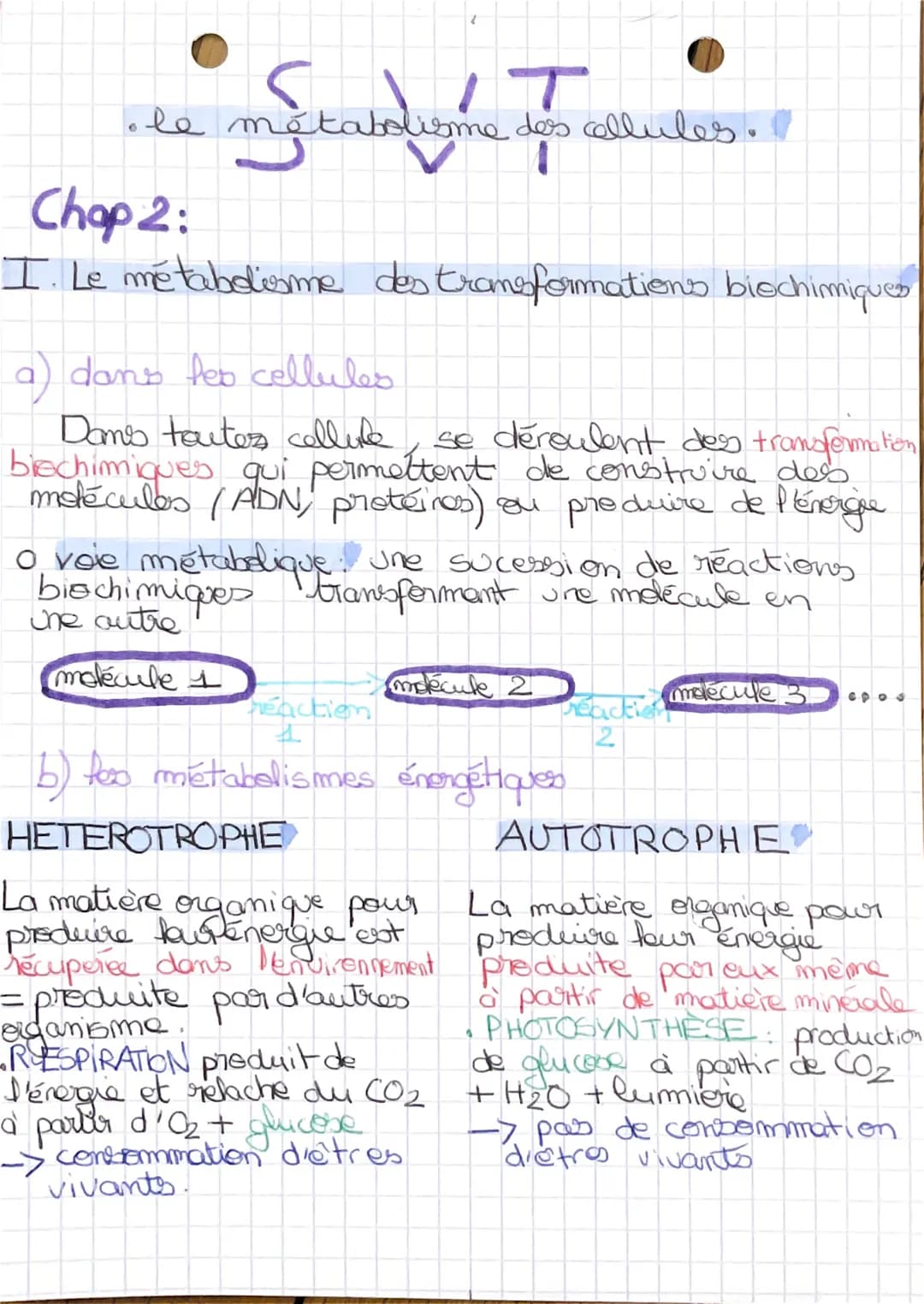 # le
métabolisme des
des cellules.
Chap 2:
I. Le métabolisme des transformations biochimiques
a) dans les cellules
Dames toutes cellule