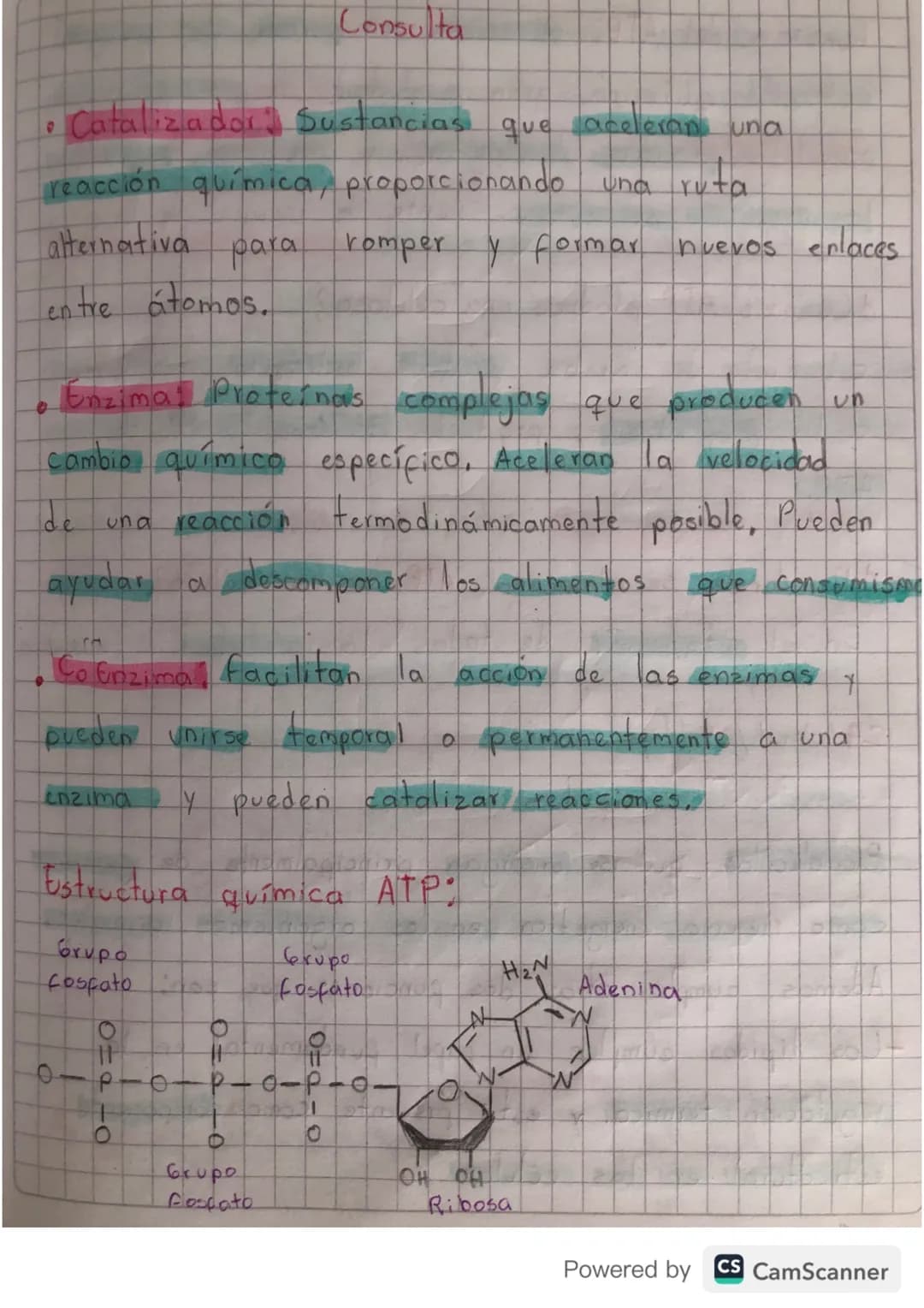 # Proceso metabolico
de la glucosa
Una vez ingresa la glucosa en nuestro organismo,
Inicia un proceso digestivo y nutritivo que le
permita