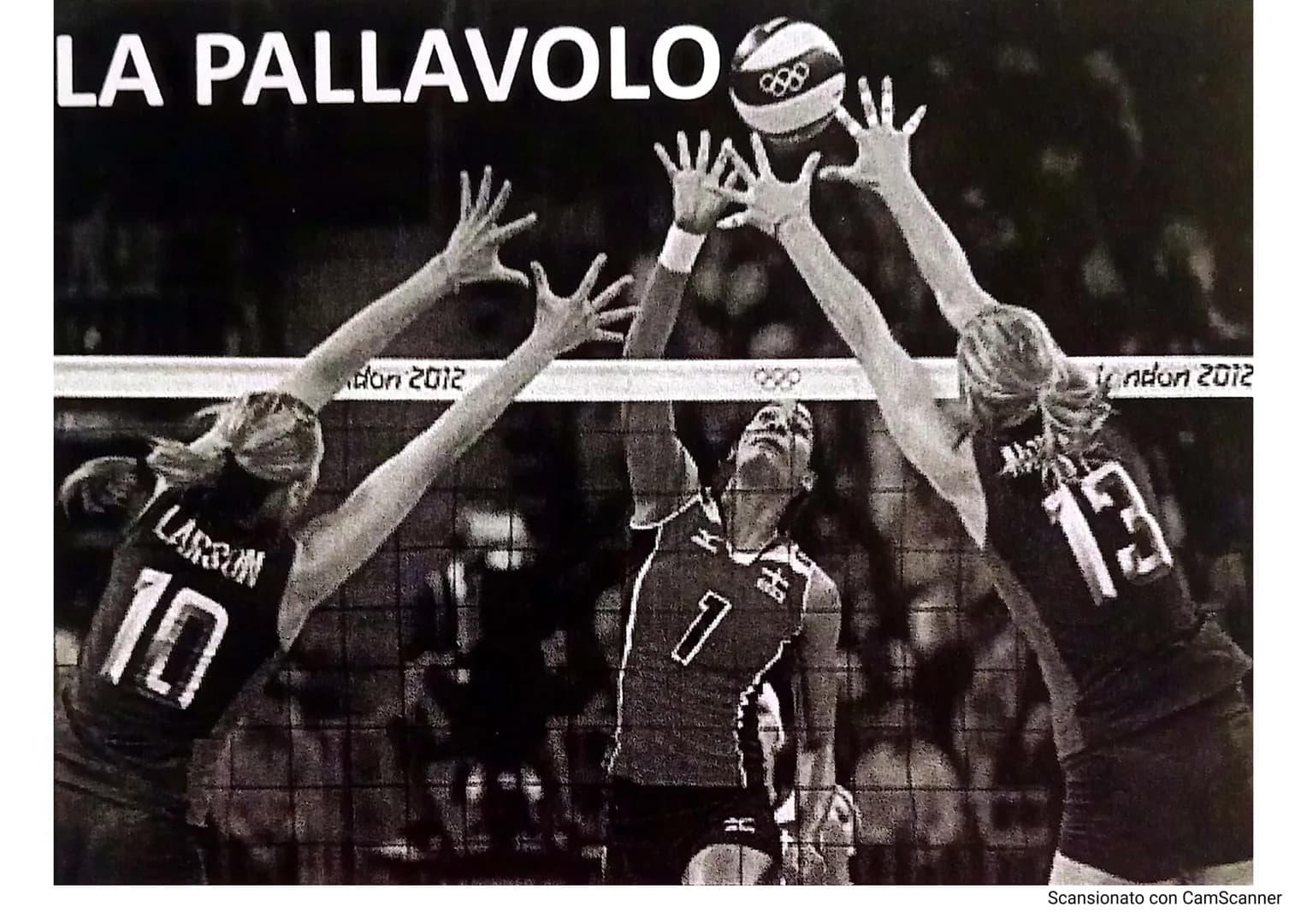 # LA PALLAVOLO
LARSON
10
13
Scansionato con CamScanner La pallavolo è uno sport nato negli Stati Uniti nel
1895, grazie a WILLIAM MORGAN,