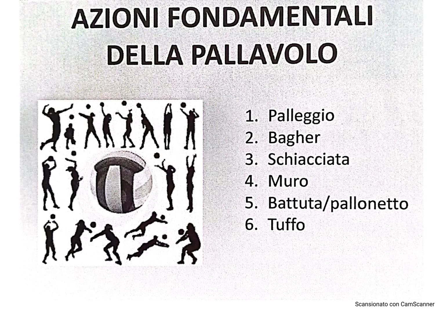 # LA PALLAVOLO
LARSON
10
13
Scansionato con CamScanner La pallavolo è uno sport nato negli Stati Uniti nel
1895, grazie a WILLIAM MORGAN,